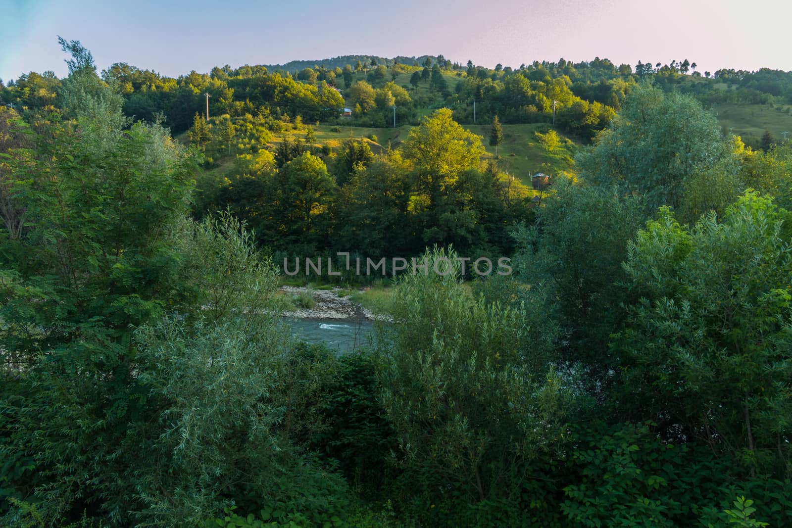 mountain fast river with low banks running between green trees