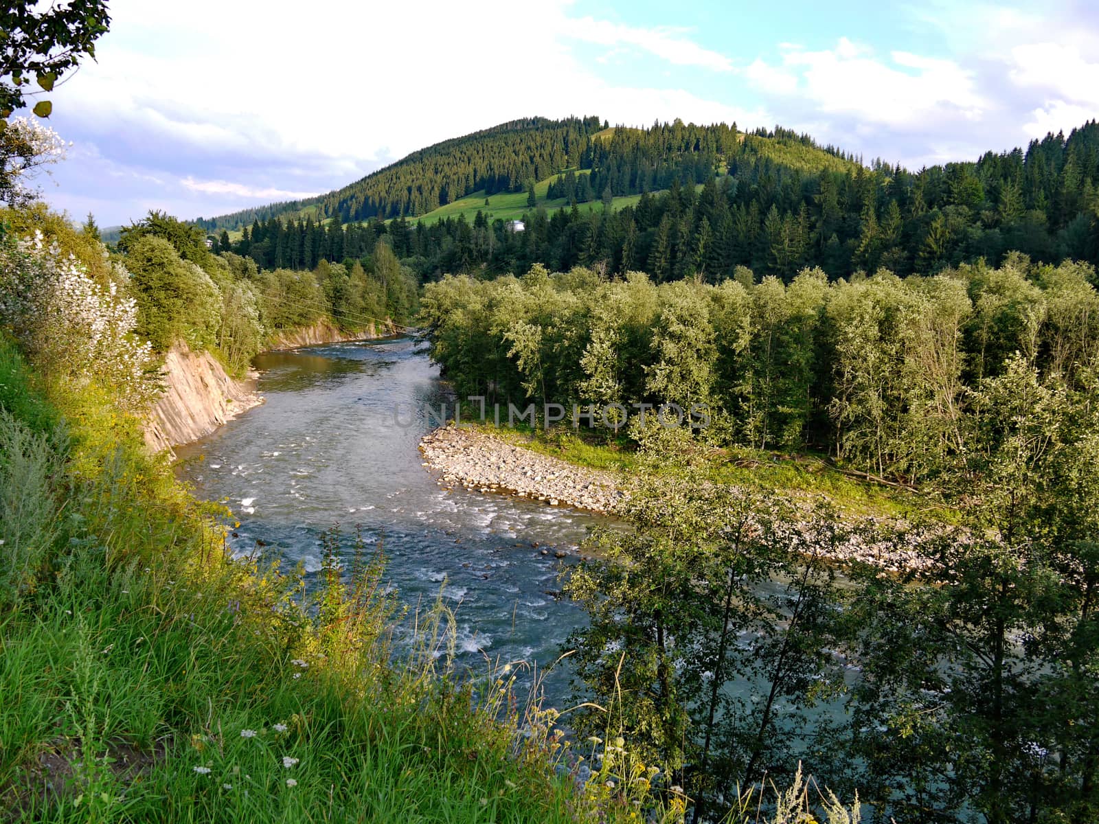 the rapid flow of a mountain river carries water into the valley, which touches the stone forming a white foam