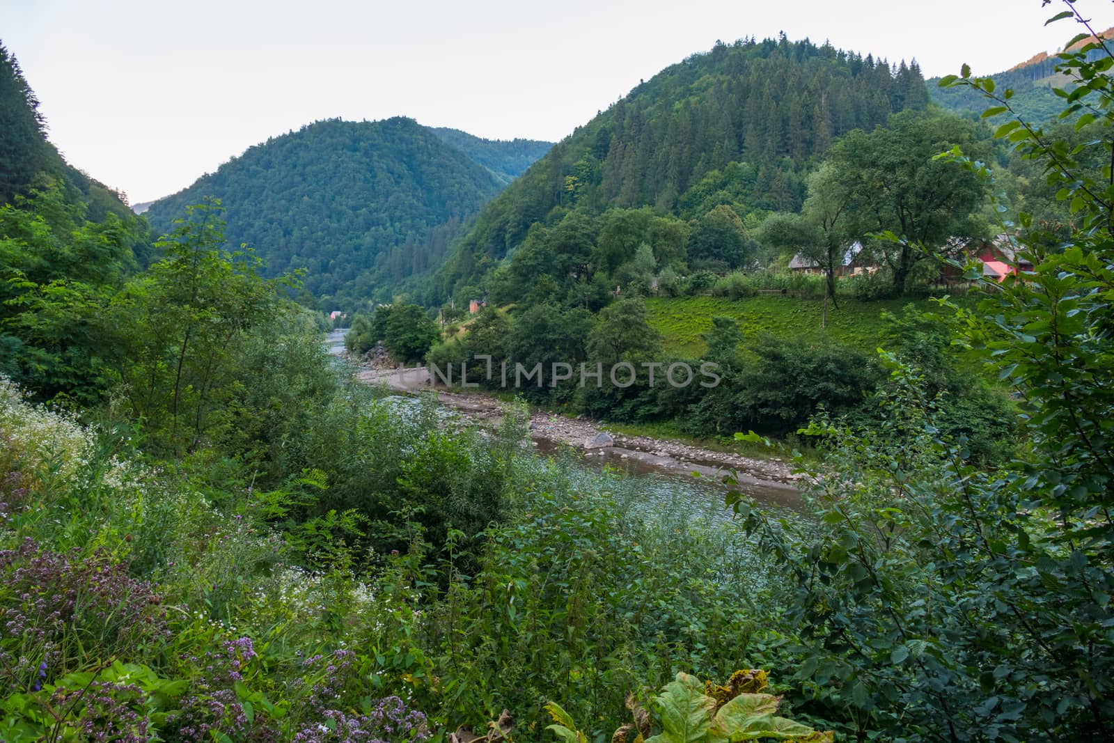 An ideal place to relax. Greenery of trees and grass, clean fresh air, beautiful mountain landscape by Adamchuk