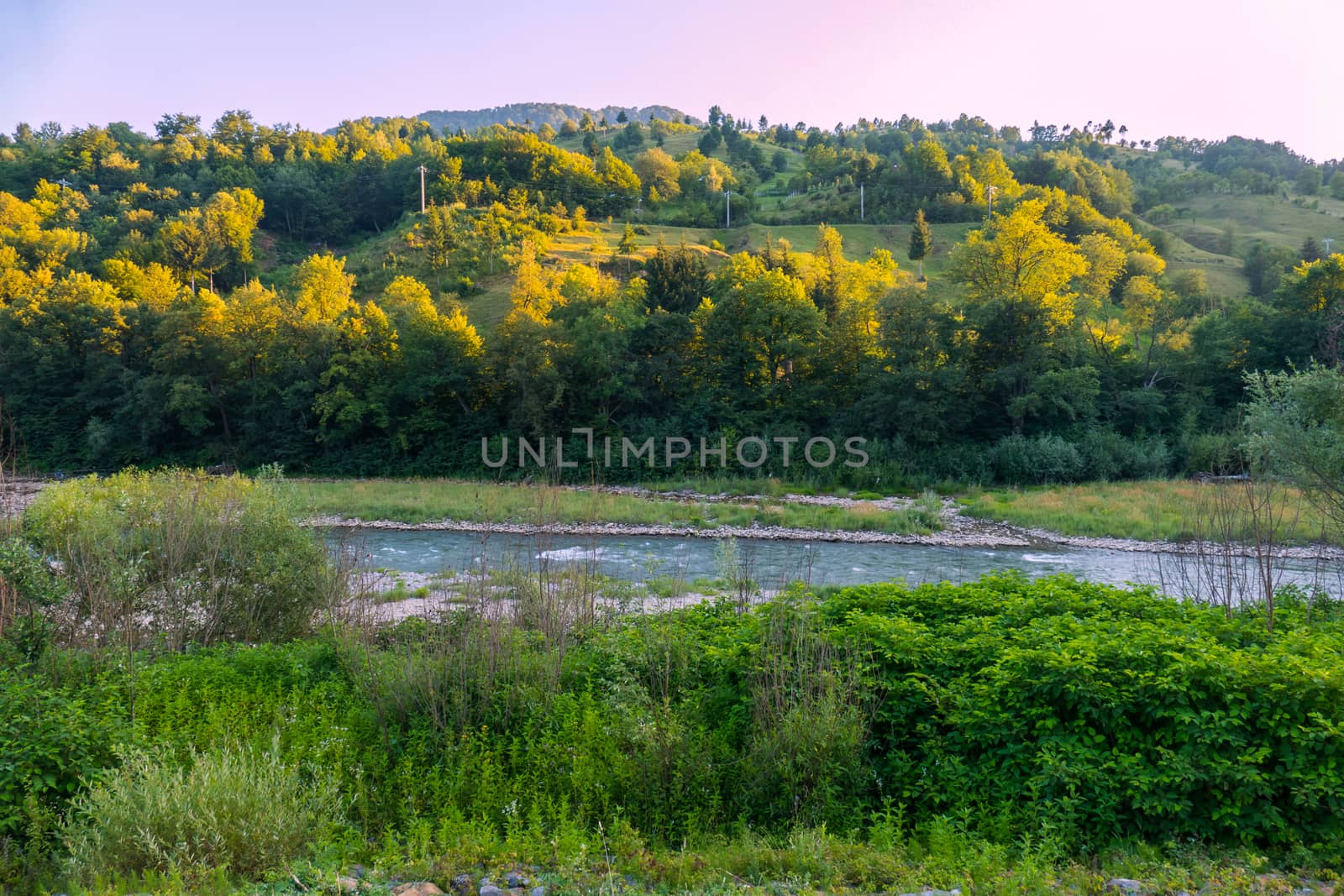Beautiful scenery with a small fast river flowing between the shores with thick green vegetation bushes with herbs.