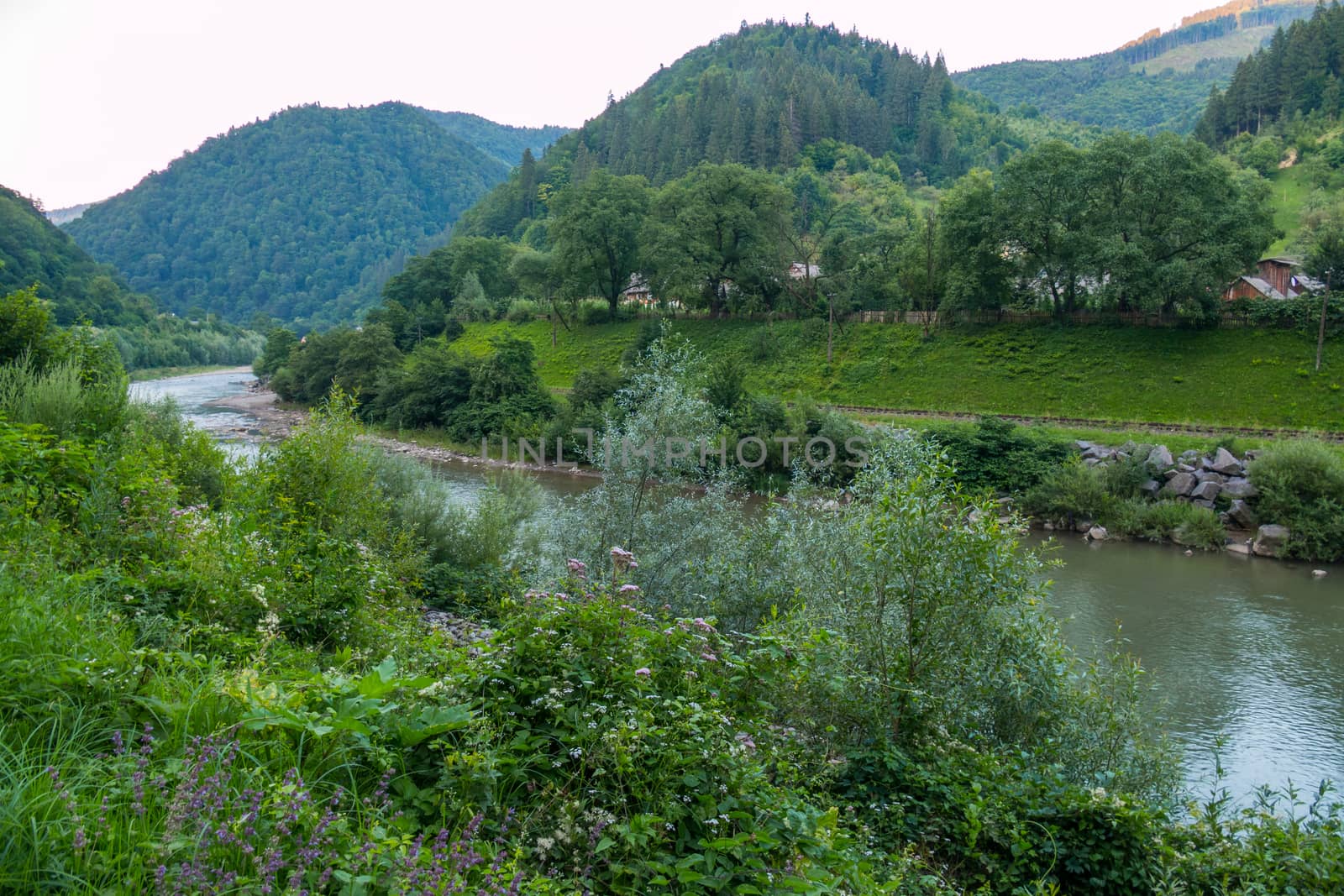 A small rapid river with green trees on the sides against the background of huge mountains