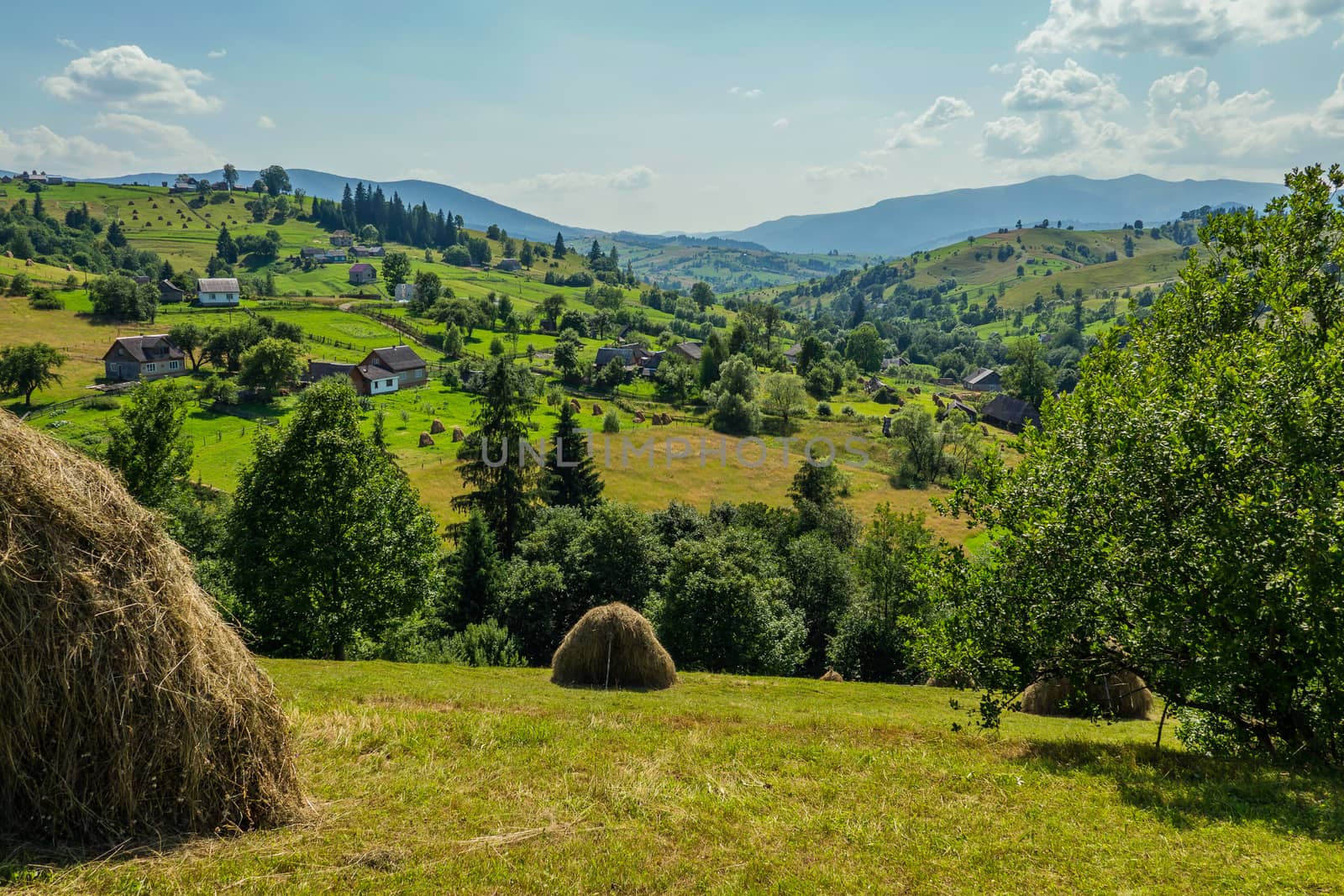 Two stacks of dry, yellow, fragrant hay stand on the green lawn