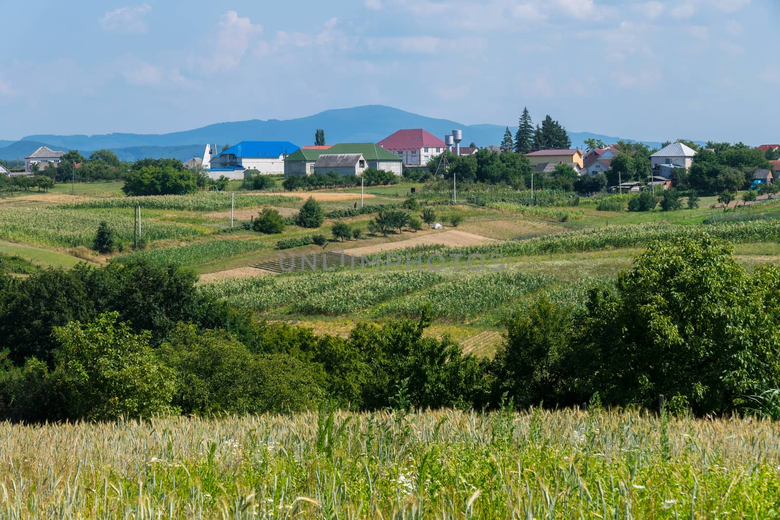 Multicolored roofs of small rural houses against the background of green misty mountains in the distance