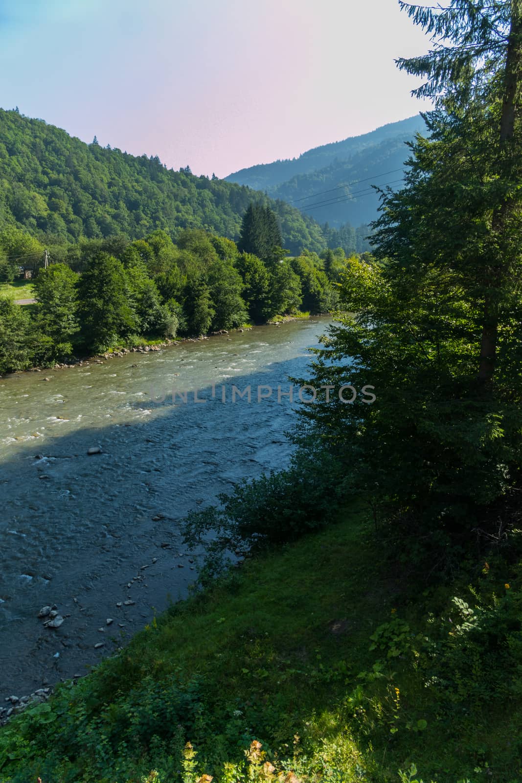 A beautiful view from the green coast to a shallow river with a bed strewn with stones. Flowing between trees and mountains.