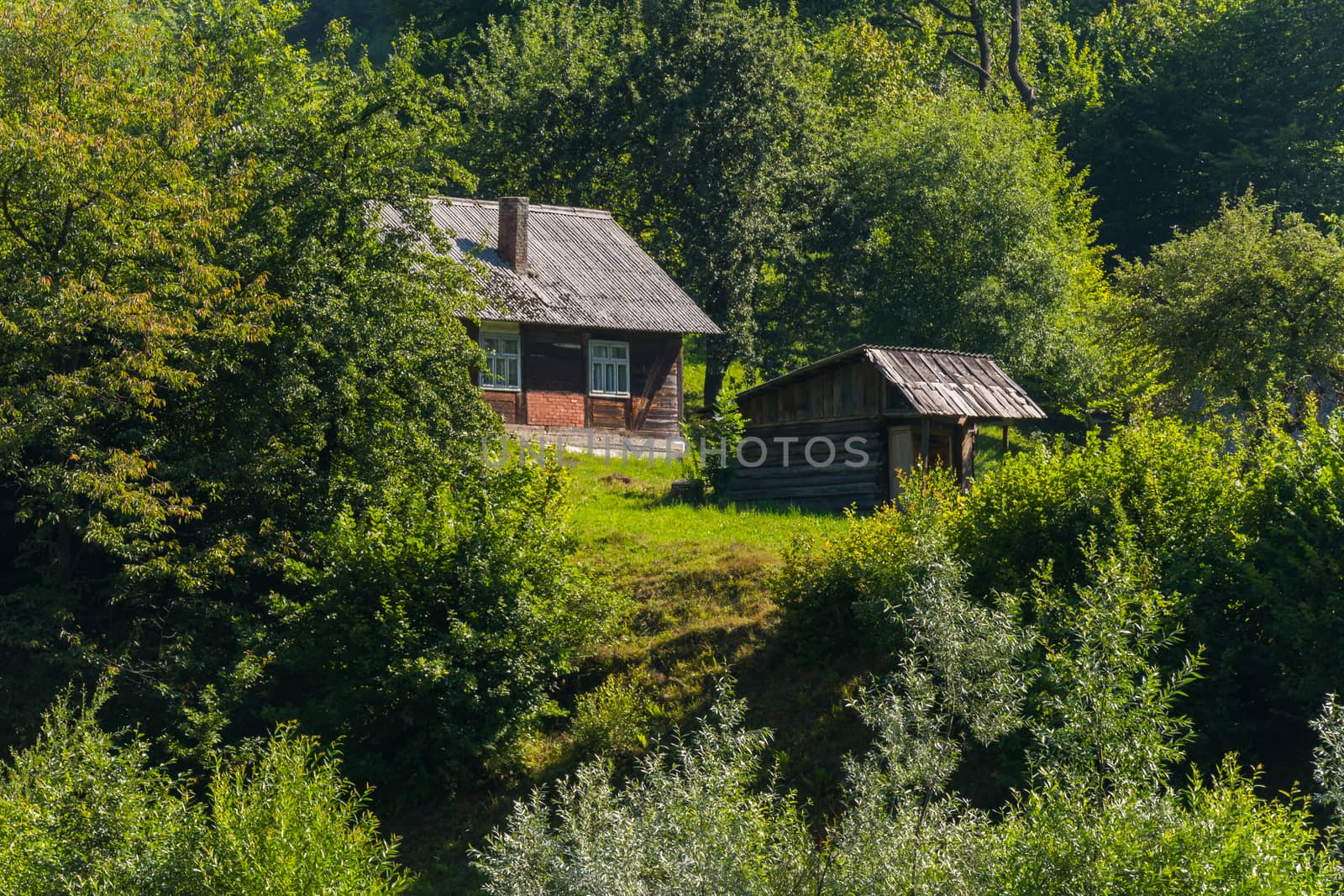 Old rural house on the mountainside with green trees and shrubs