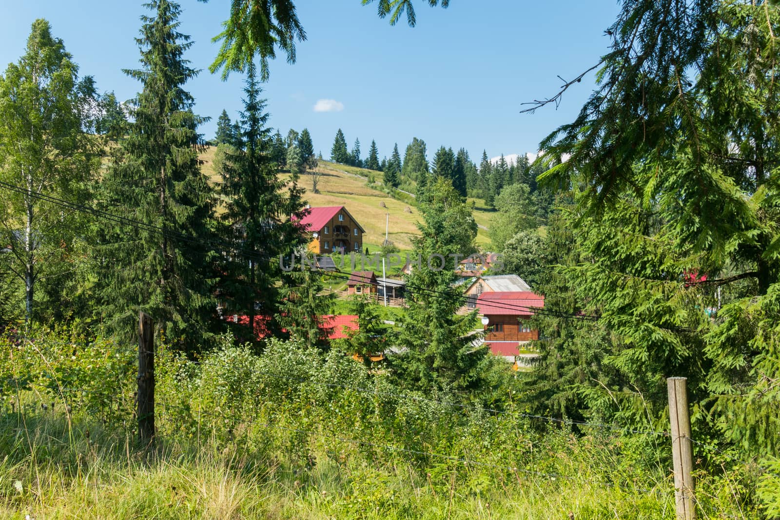 A view from the glade overgrown with grass to houses standing on a slope with dry hay against the background of the sky and the tops of trees.