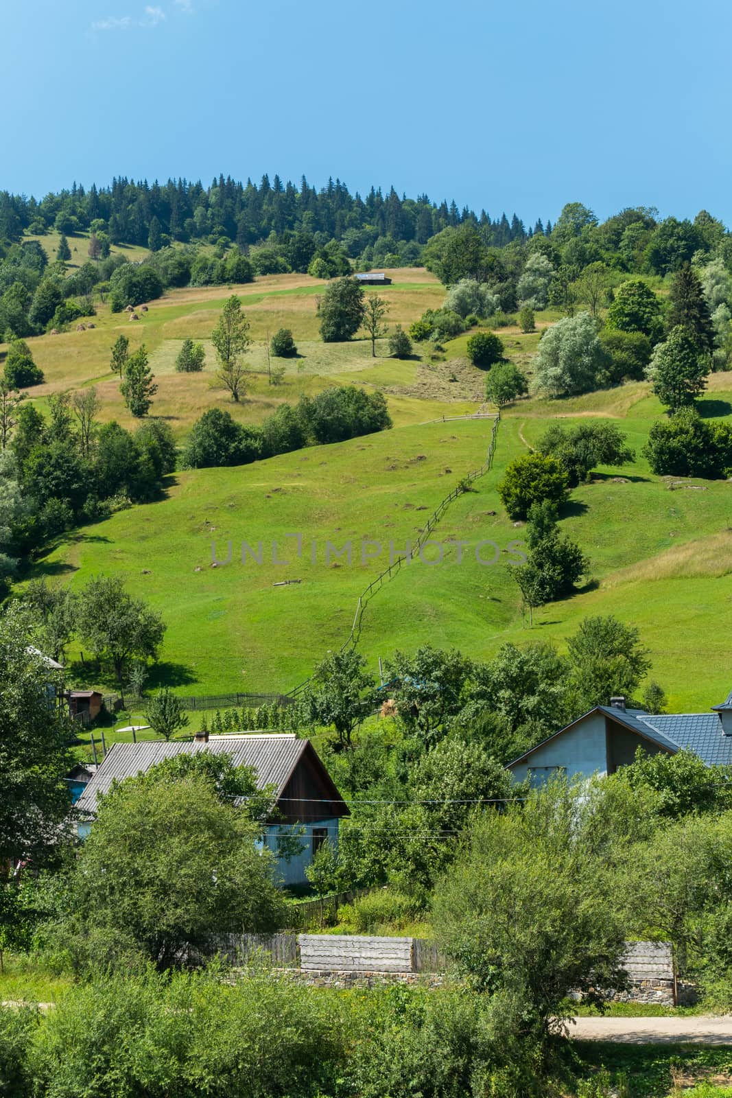 Green mountain slope with trees, leading to small cozy rural houses