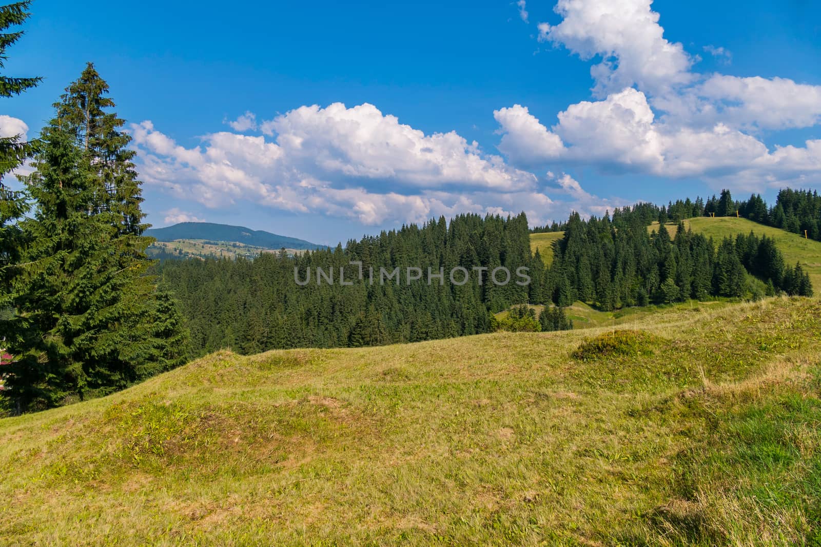 White dense clouds against the blue sky lie on the green mountain slopes with a dense forest growing on them.