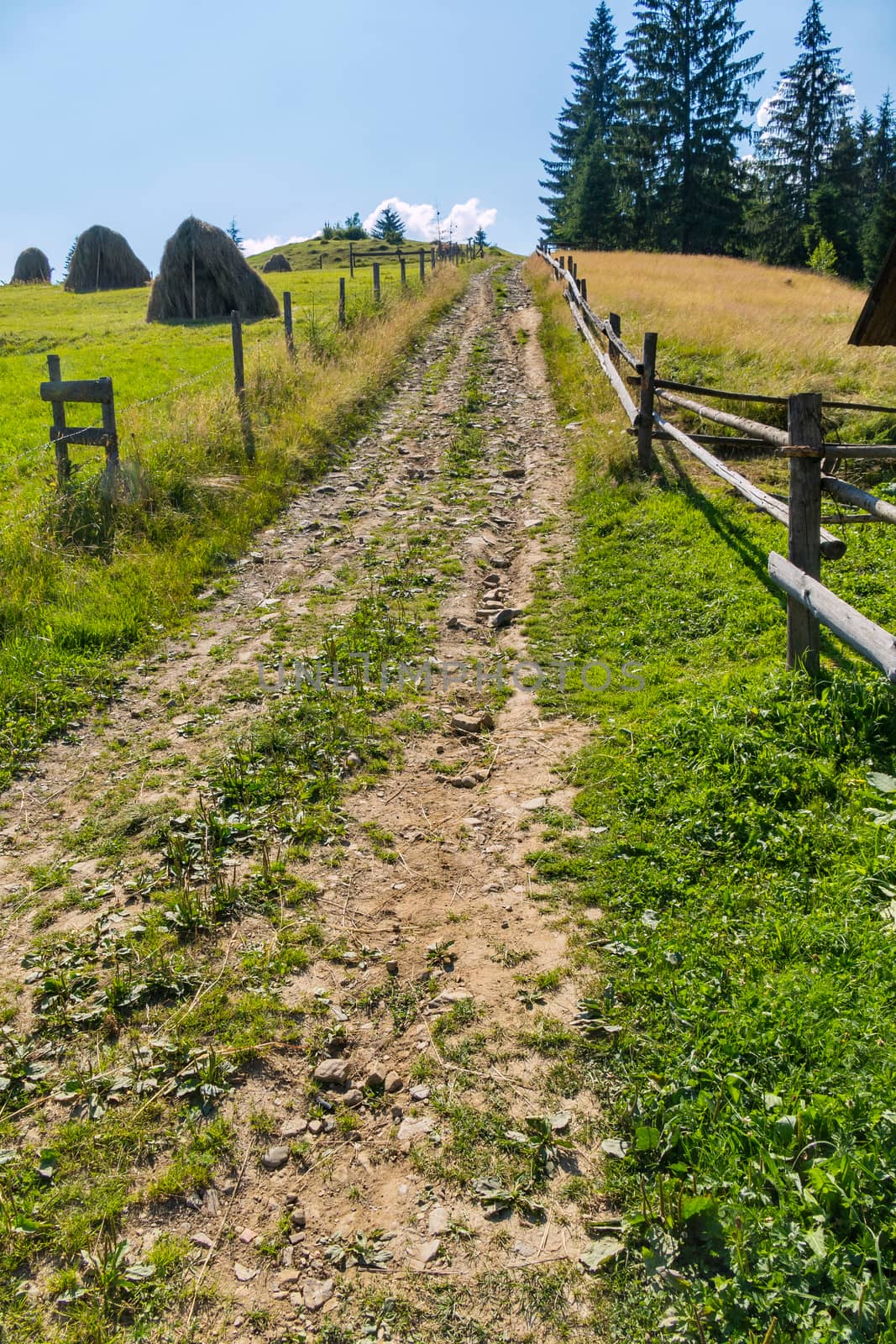 a distant horizon line and trailing fences of farmland along the road
