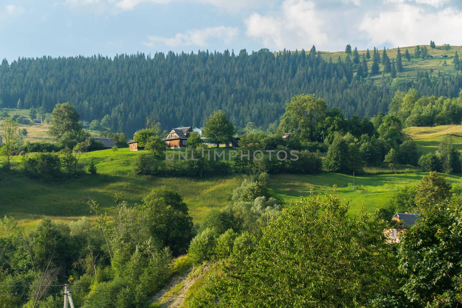 A small rural village with houses and yards against the background of a green coniferous forest