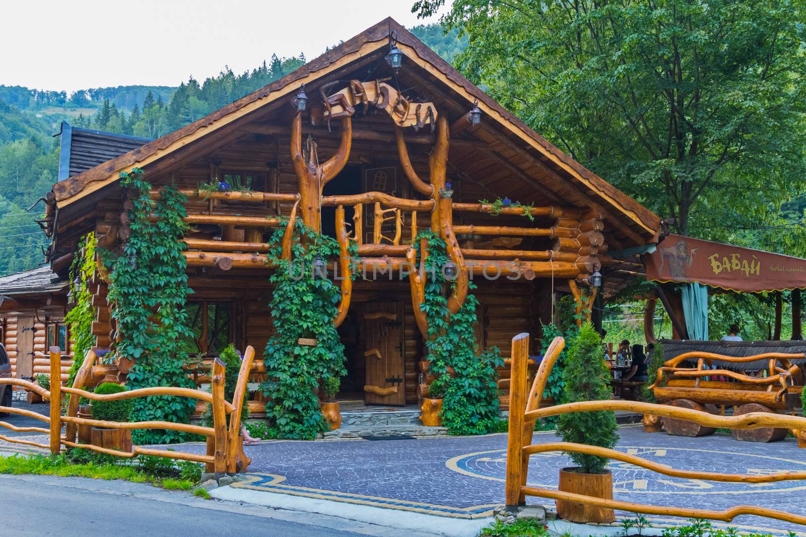 beautiful cafe with wooden fence, thuja and ivy