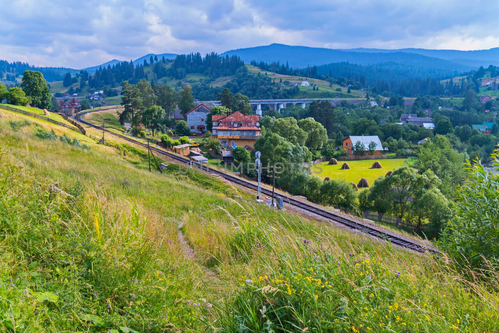 A path on a slope overgrown with grass and flowers leading to the railway below which makes a smooth turn around the village with houses.