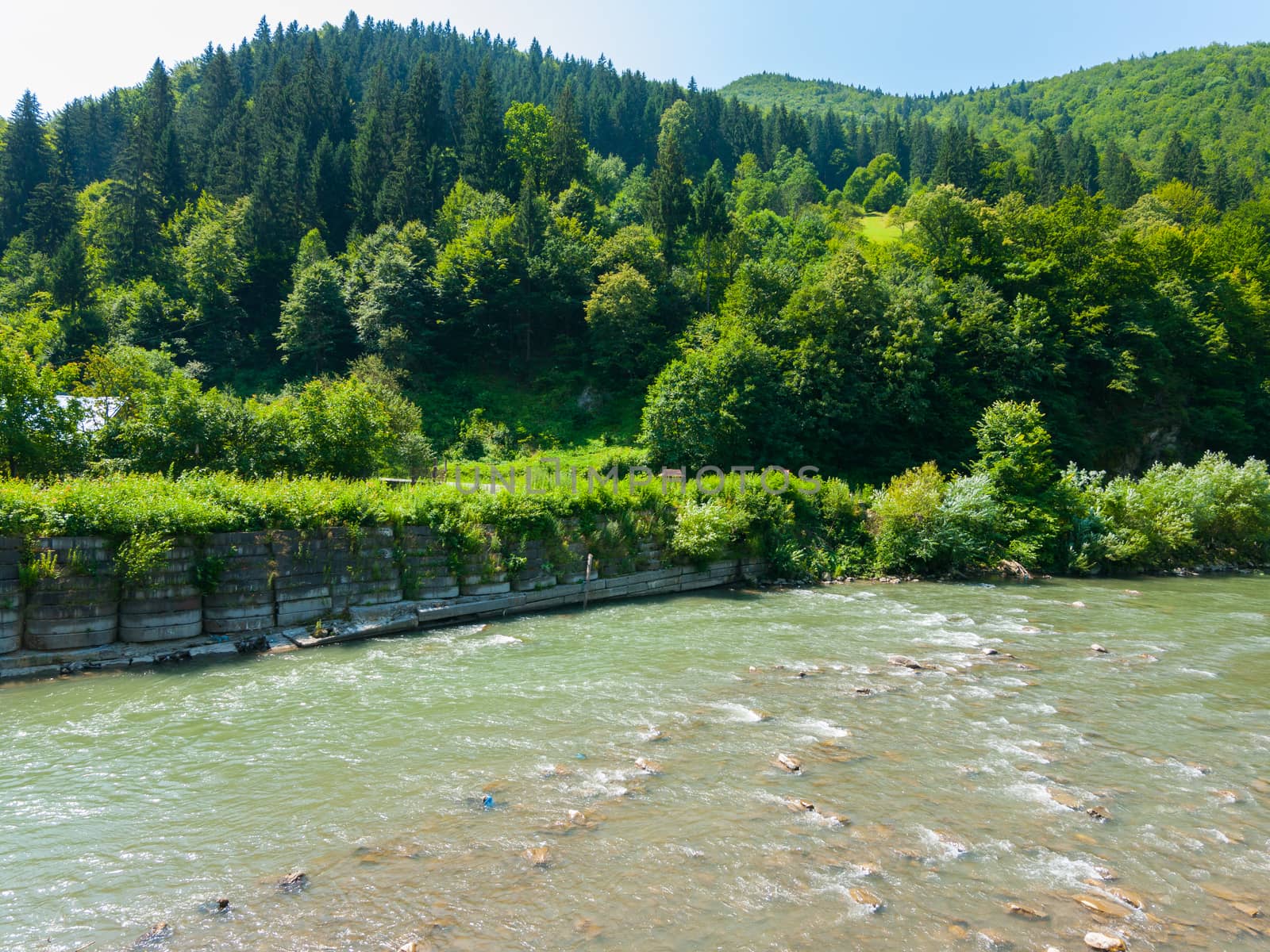 Swift mountain river against a background of steep slope with green trees and blue sky