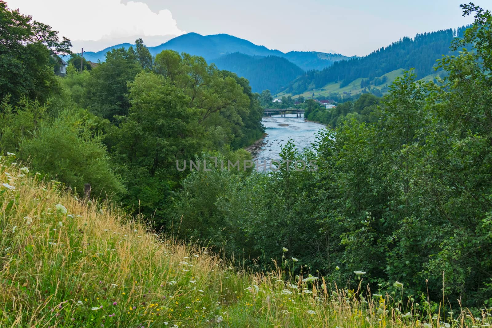 A blossoming slope, trees and a river with a bum in the background. And in the distance you can see mountains