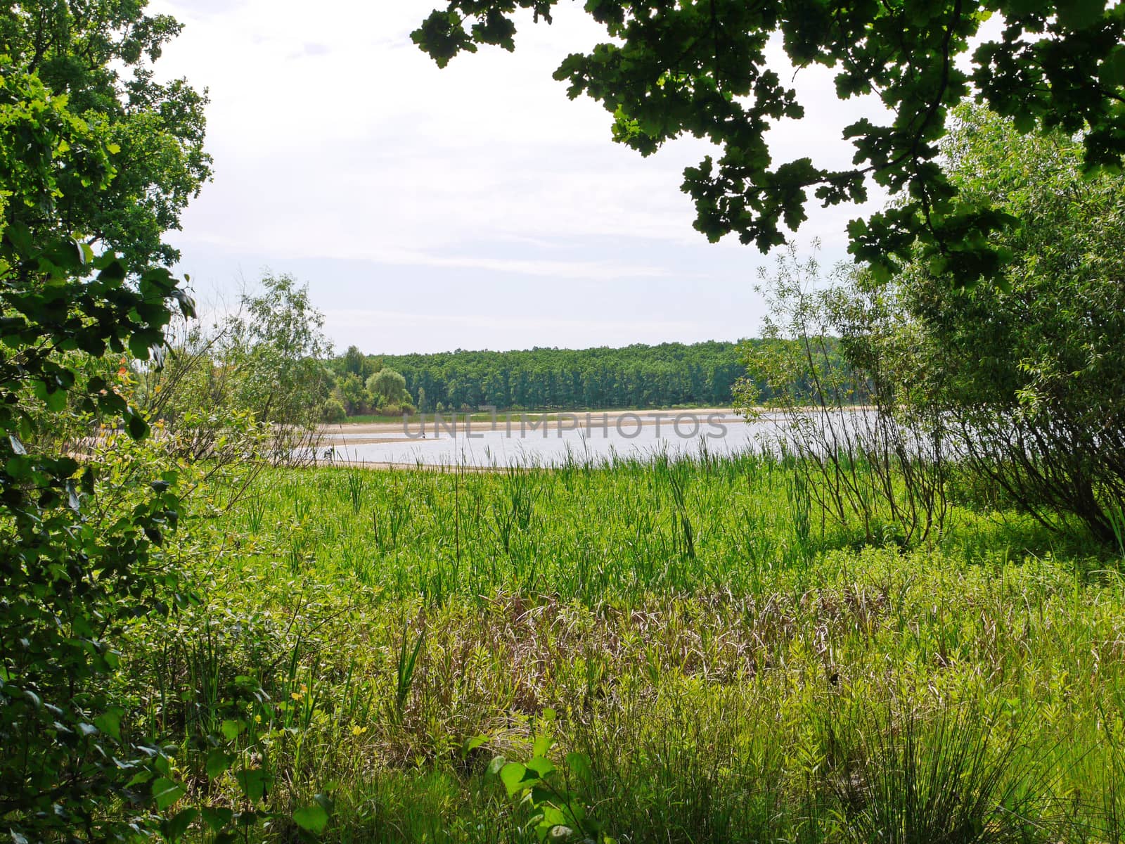 water of a natural reservoir in the distance near a green and dense forest