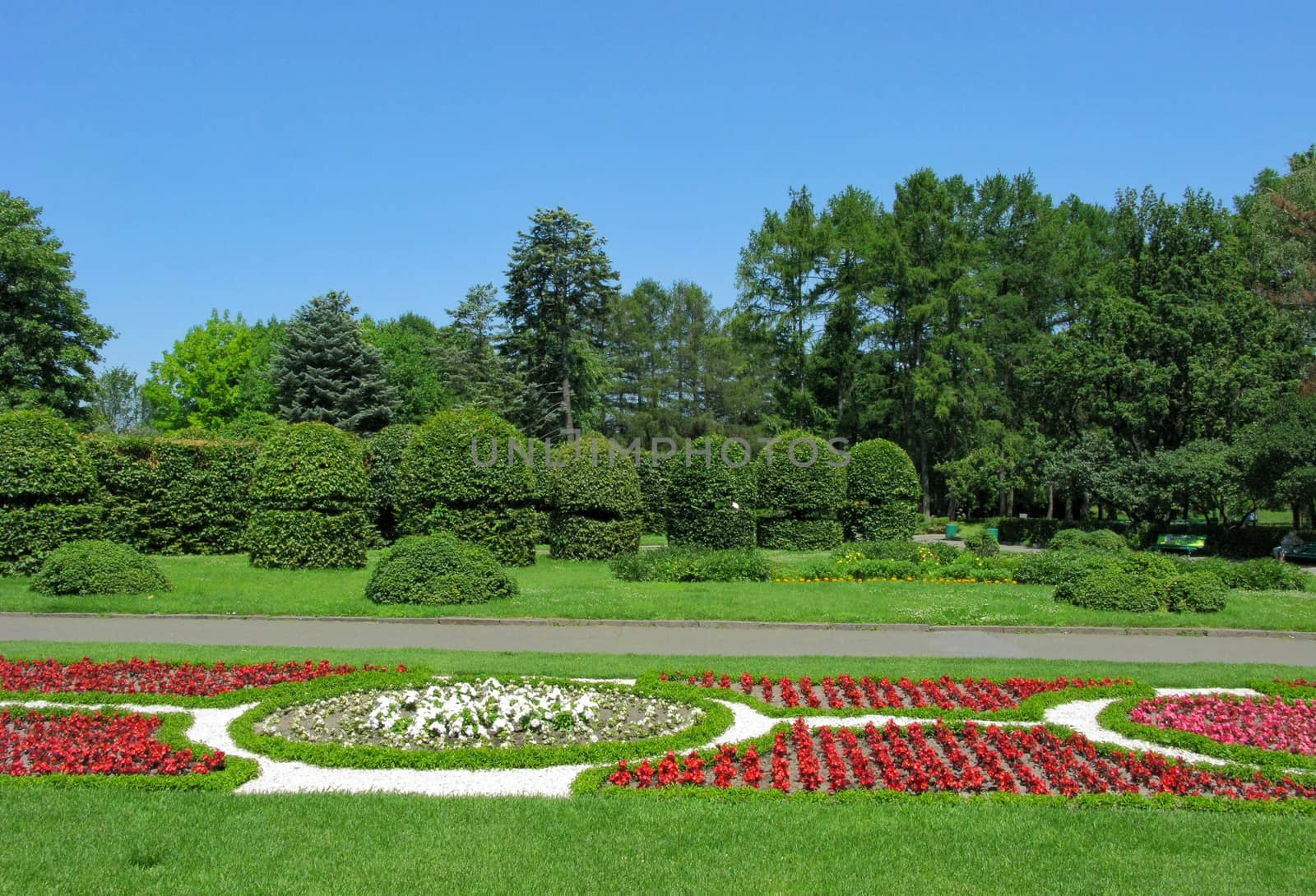 against a blue sky, a beautiful well-groomed park with figured shrubs, decorative flower beds and tall green trees
