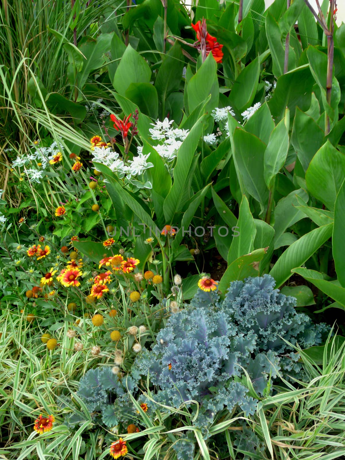 Park garden with multicolored flowers and a variety of decorative plants