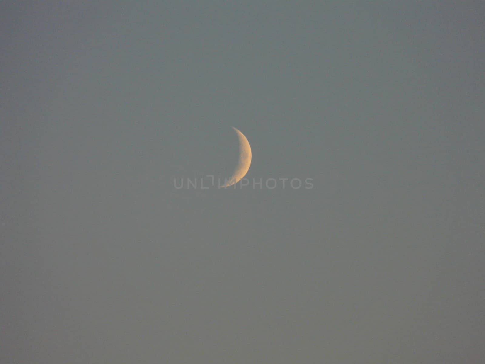 lonely young misty smoke on a violet sky after sunset