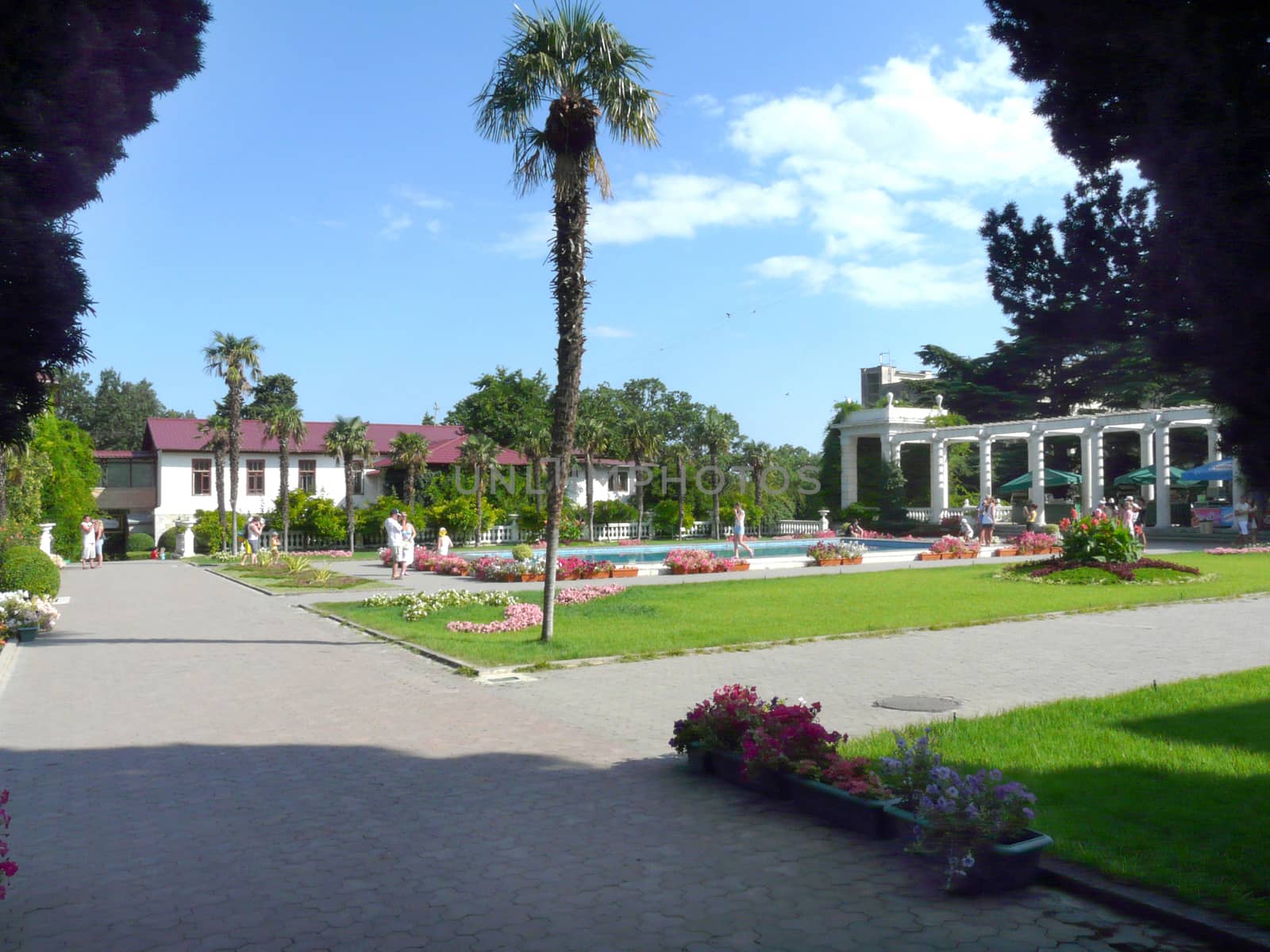 Plexus alley of stone tile between colorful flowerbeds. And a lonely palm tree in the middle