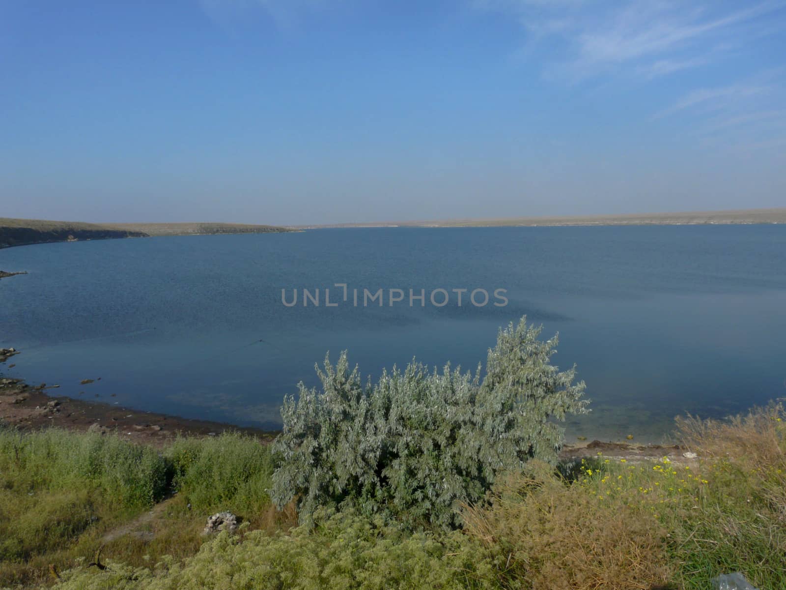 covered with grass and low trees of the shore of the lake with quiet water against the blue cloudless sky. resting place, picnic and fishing