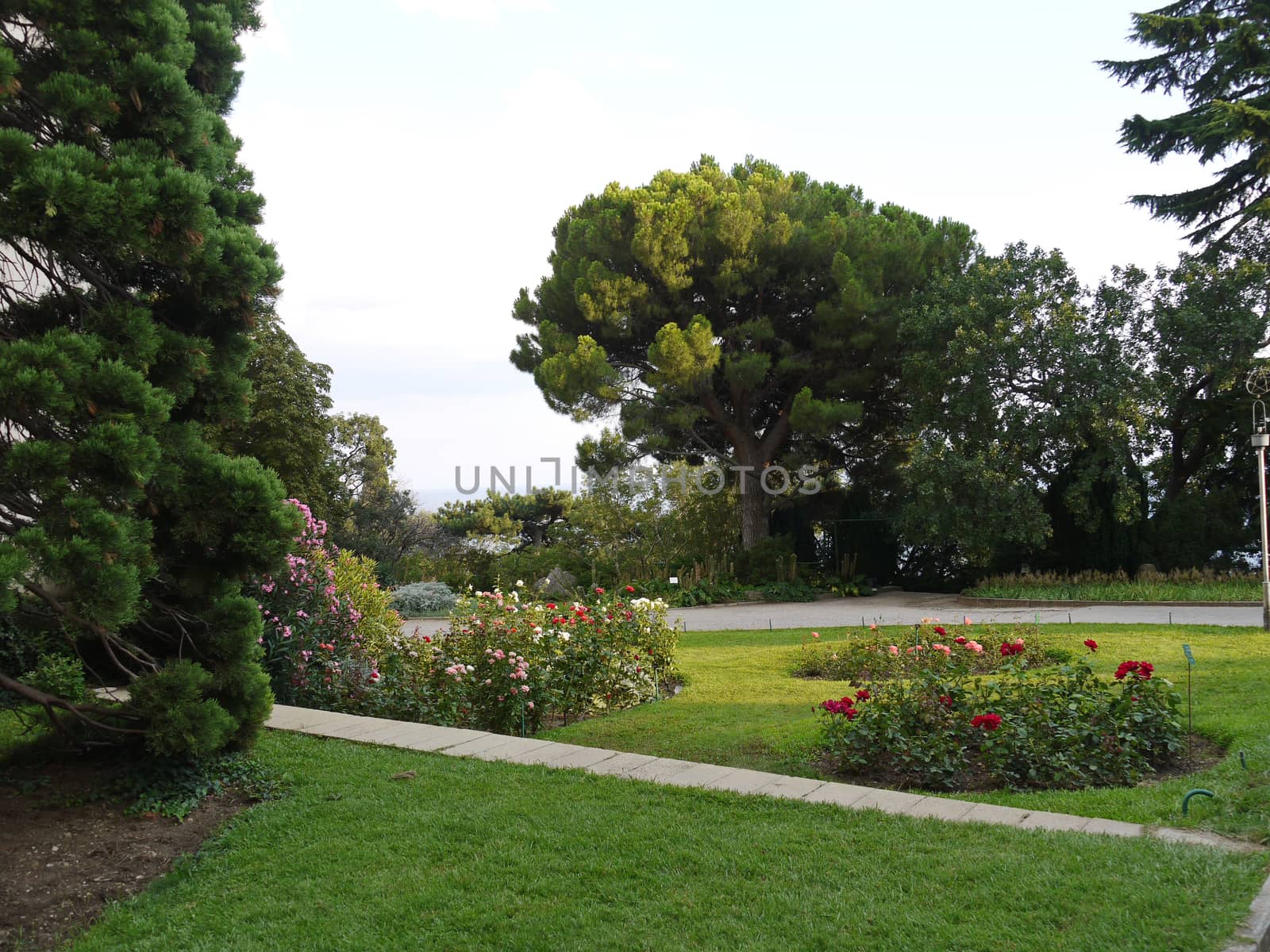 park for relaxation with fresh green lawns and flower beds with flowers