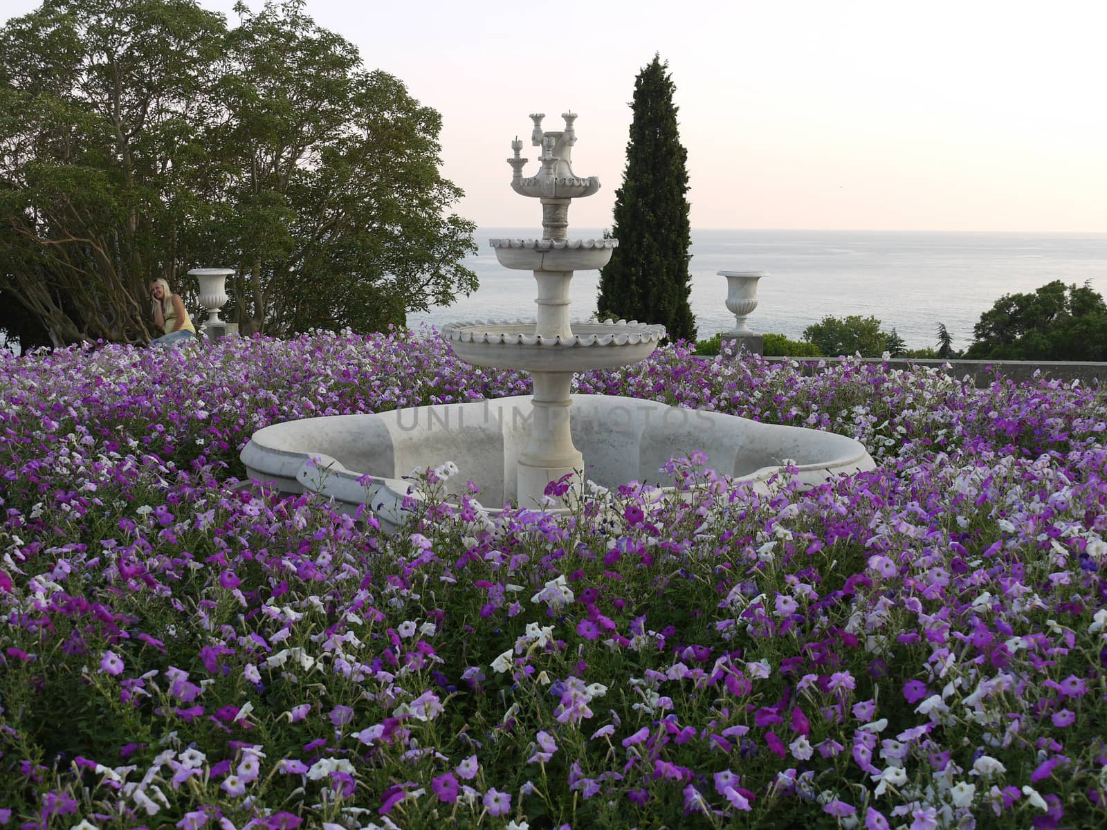 The flower bed is densely planted with white and purple petuniums around the idle fountain on the beach