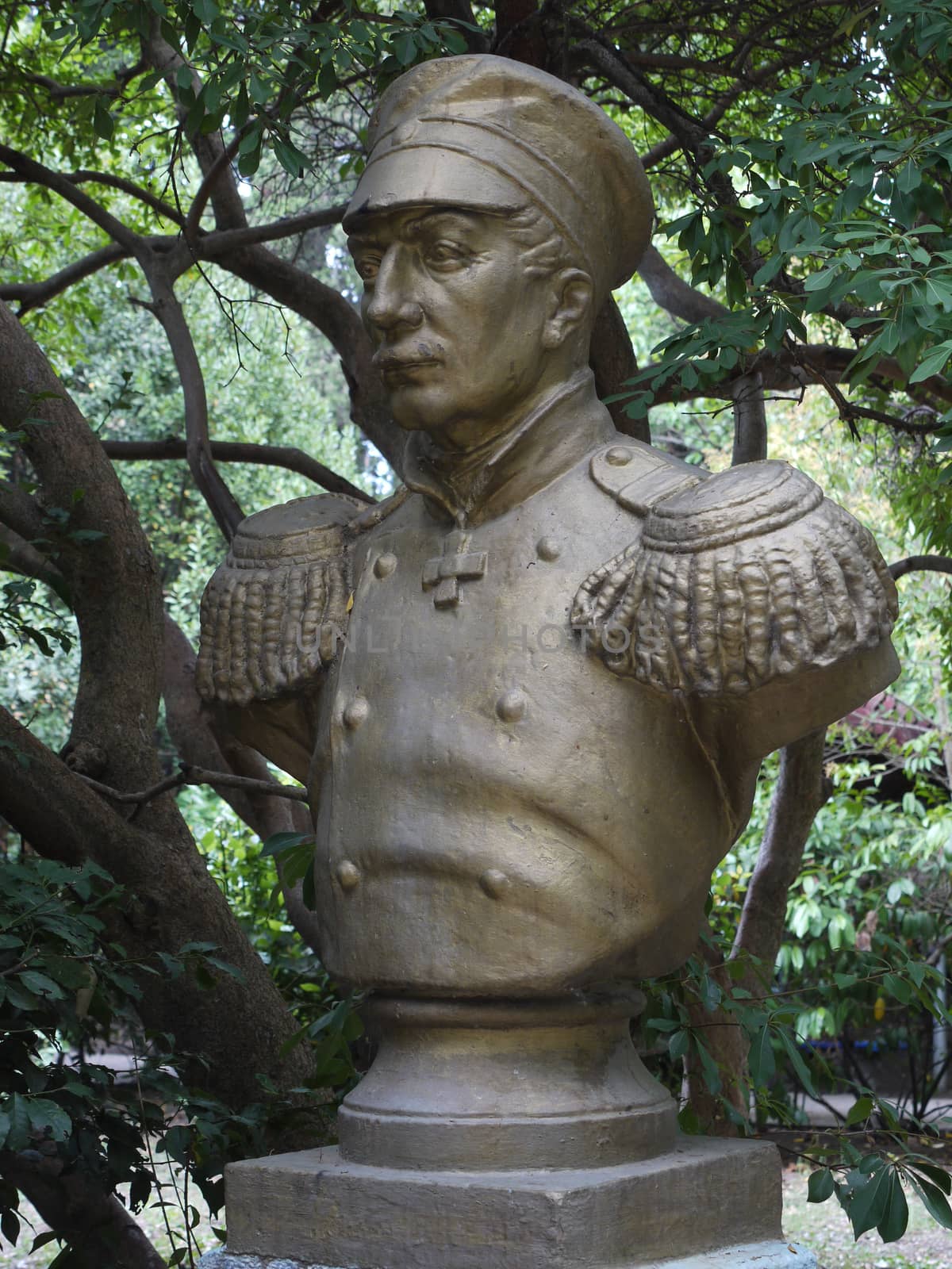 A bust of an old military man with a cap on his head in a park in the shadow of thick trees.