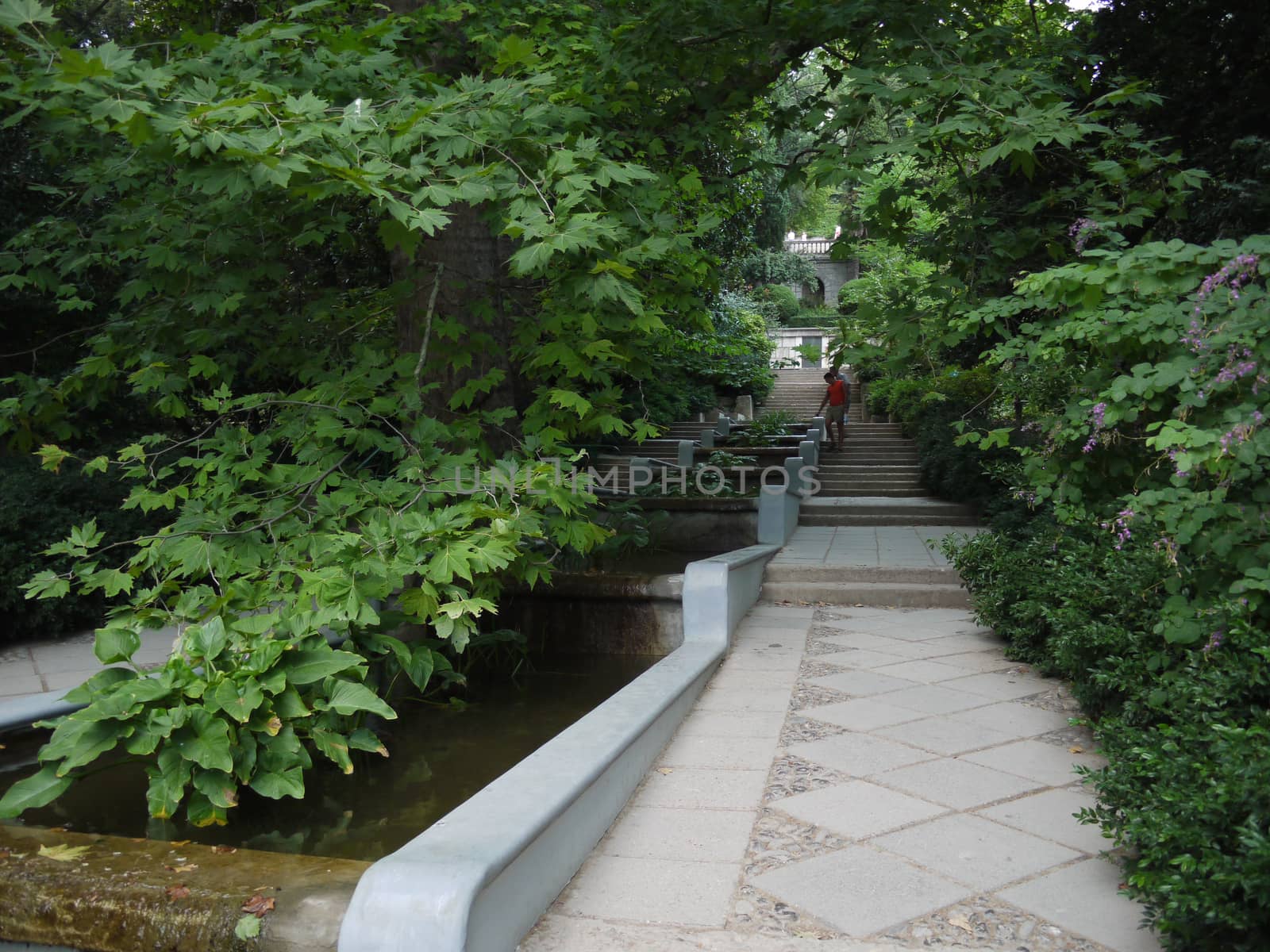 The park with an unusual pond flowing down the stairs. Unusual decision of architects and planners by Adamchuk
