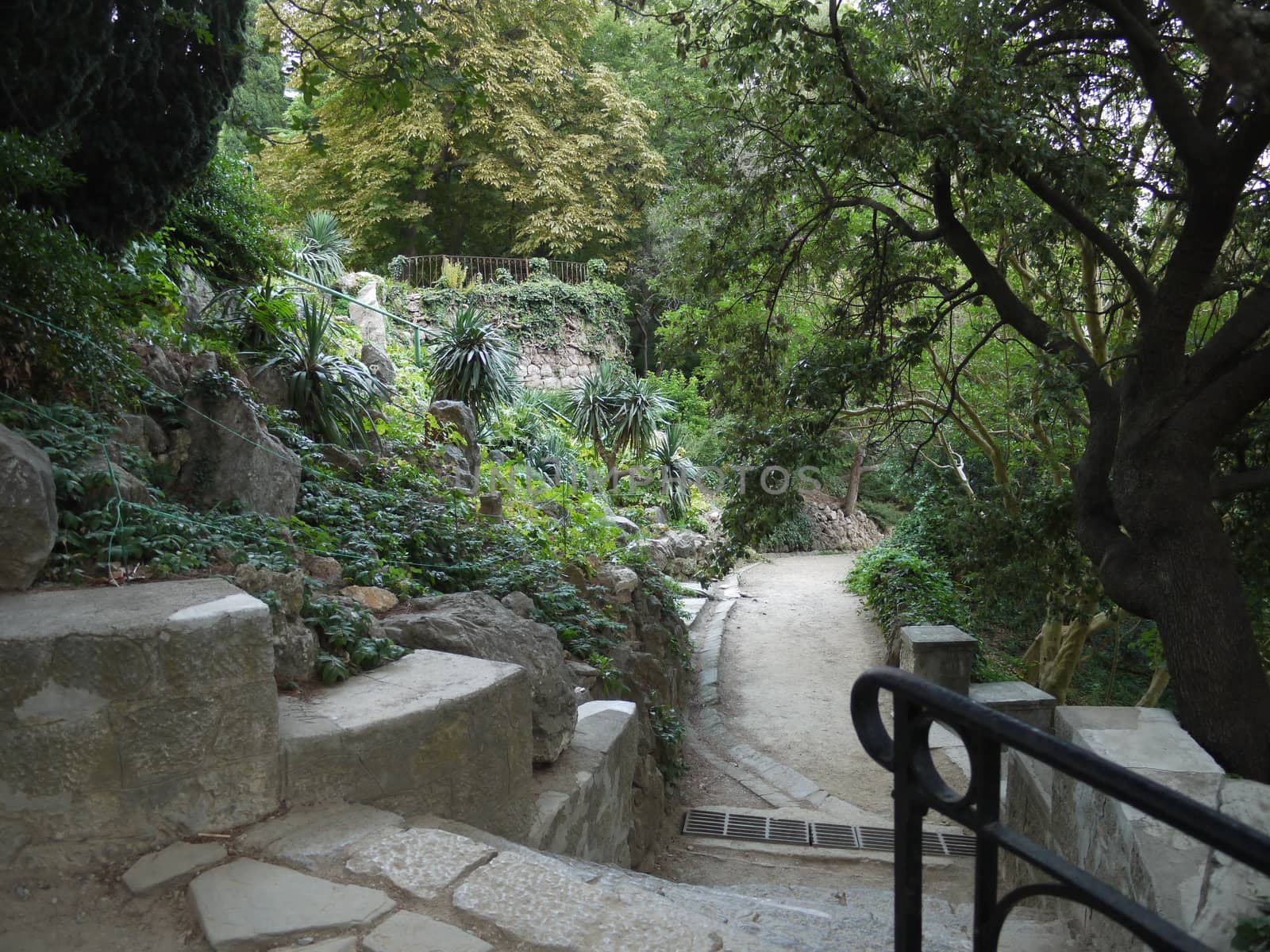 Park with lush greenery of flower beds and trees. With a large variety of forms of stones amongst the plants and a pathway running amidst all this beauty.