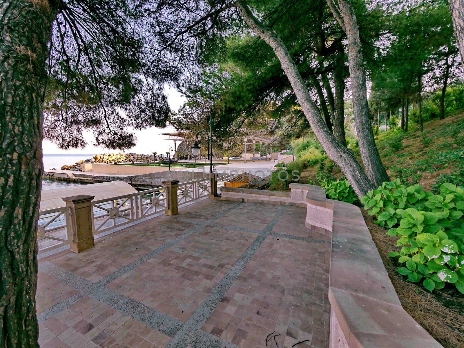 The alley on the waterfront is lined with pavement in the shade of coniferous trees near the park