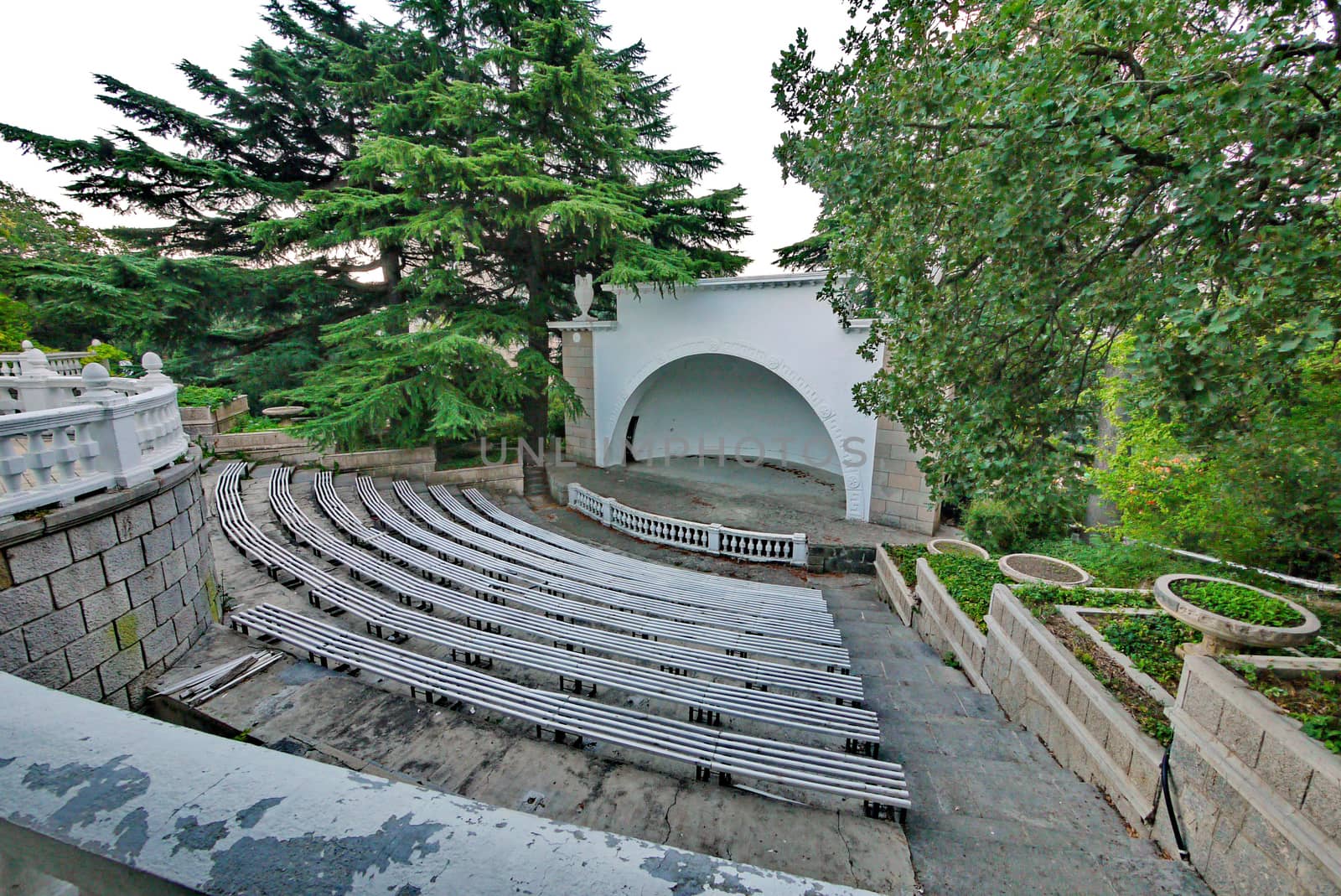 a small scene of a street theater with wooden benches in the botanical garden