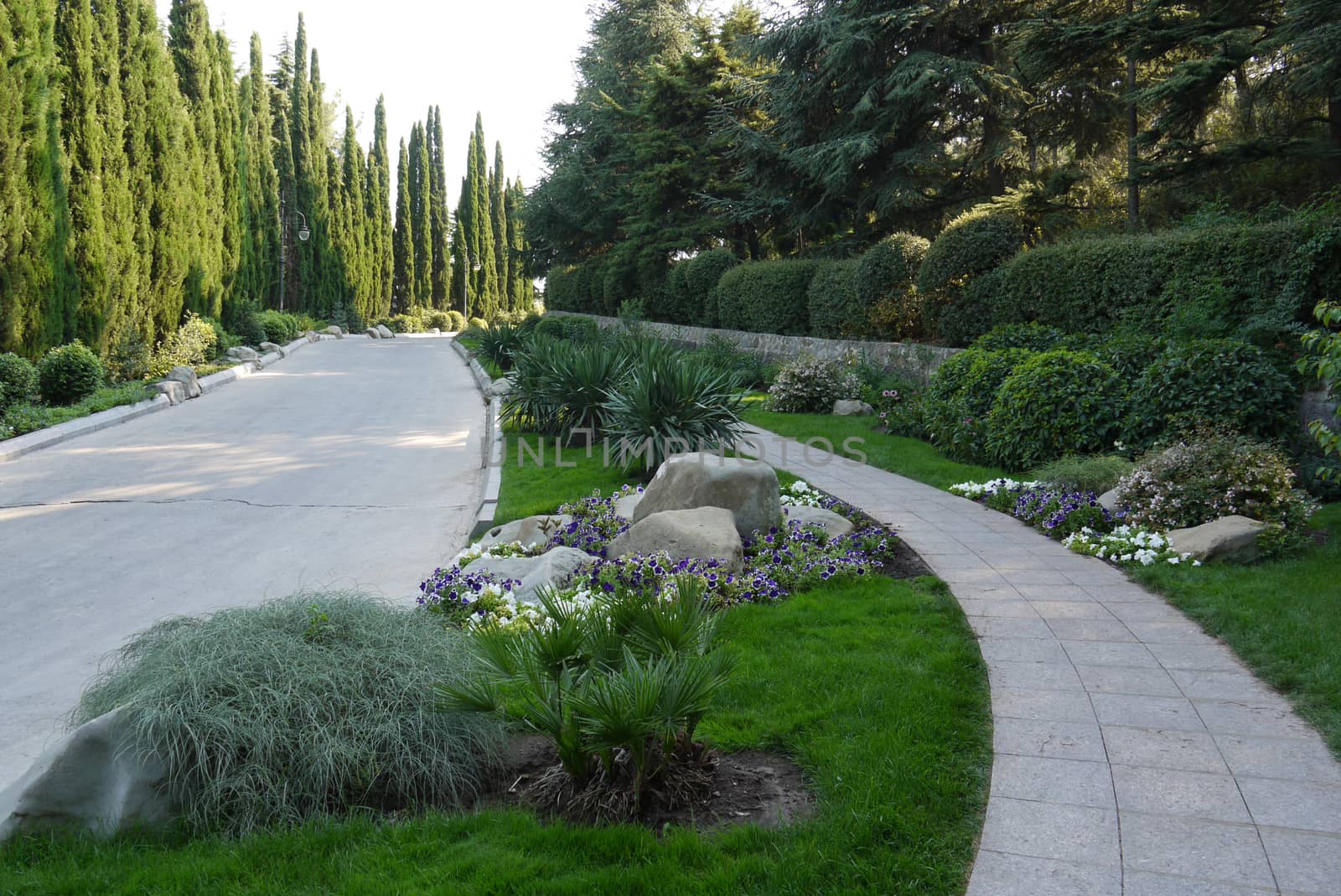 a beautiful alley with coniferous and deciduous bushes and trees for outdoor walks