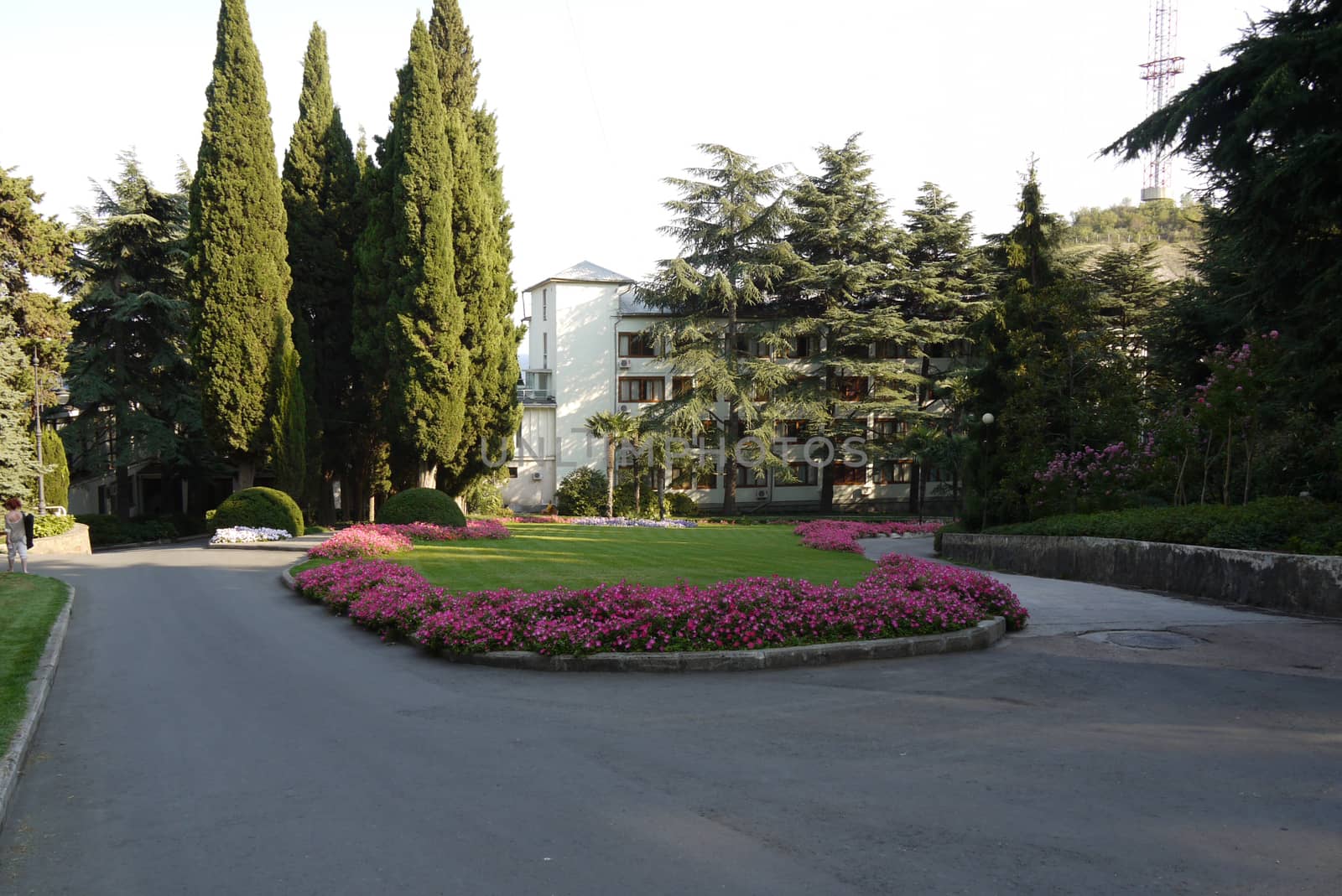 A picturesque view of a flowerbed with beautiful flowers in a semicircle growing around a green lawn. With standing a few stolen trees growing near the walls of the sanatorium.