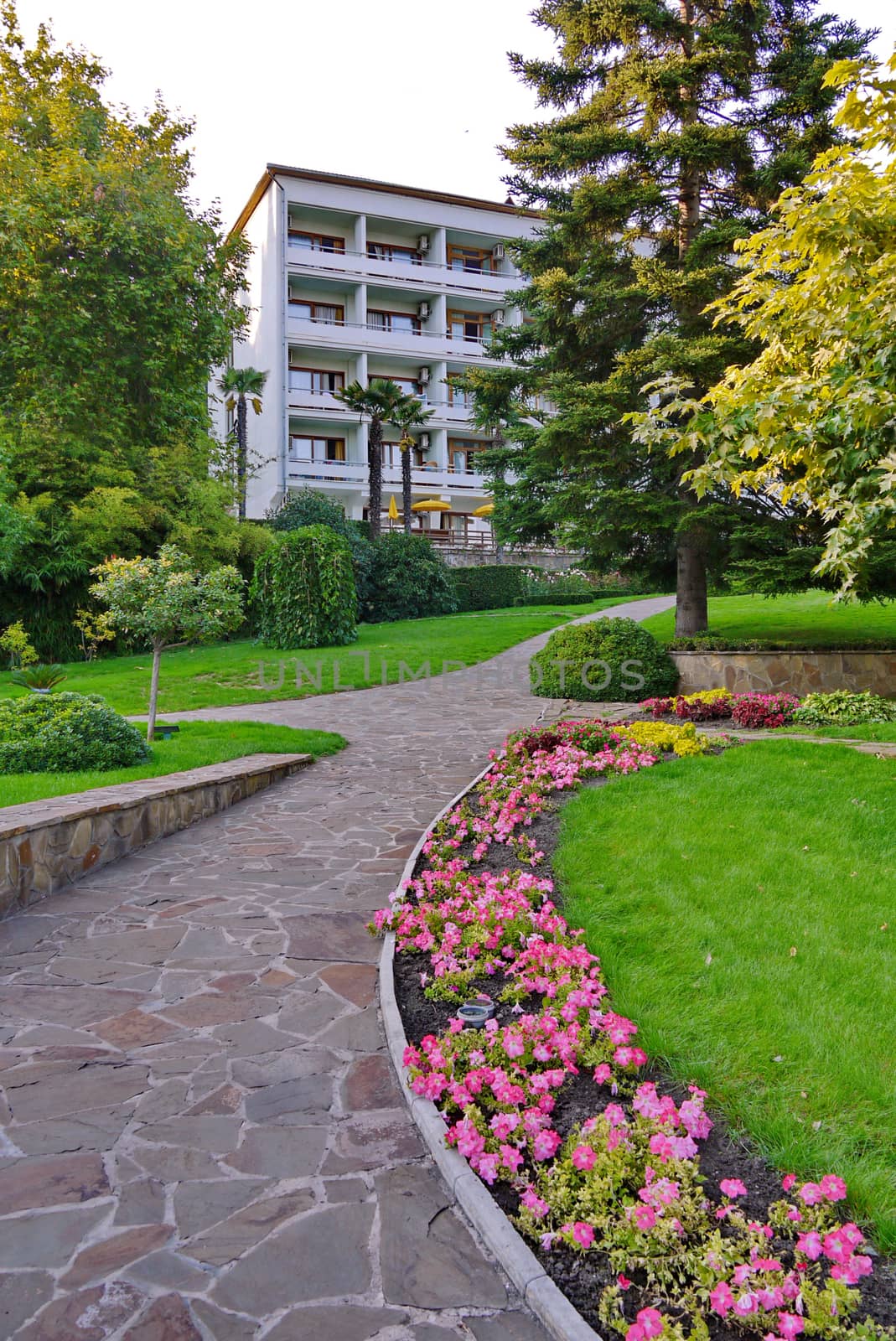 A stone path with planted flowers, tall green trees and a lawn leads to a white five-story building with balconies. place of rest, hotel, hotel, sanatorium