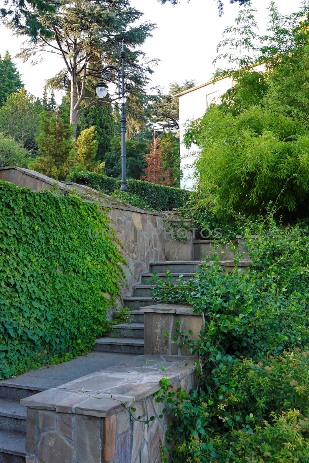 Steps among the green bushes, like a maze of confused traveler walking in the park