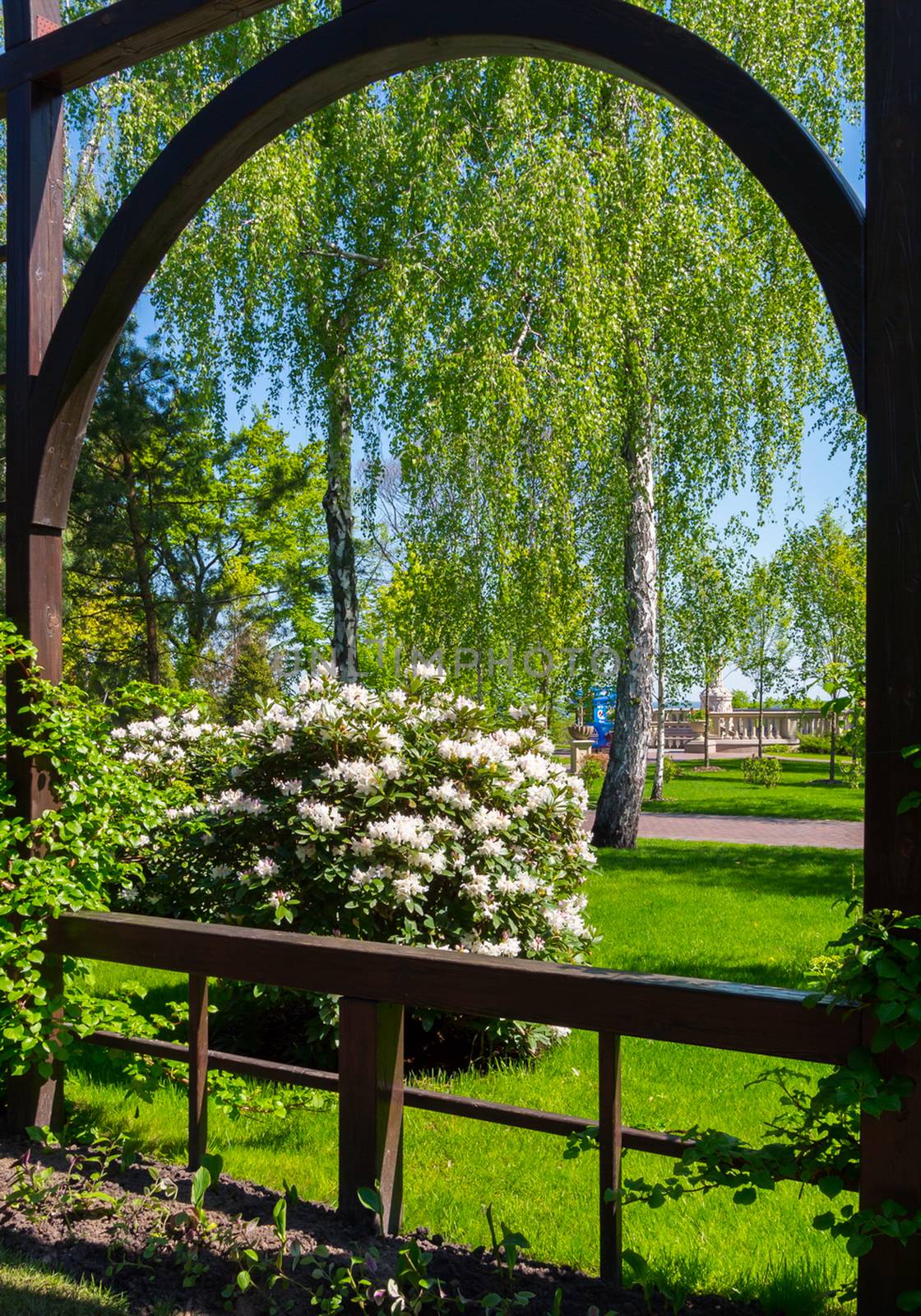 Fence with a small arch leading to a green garden with flowering bushes with white flowers