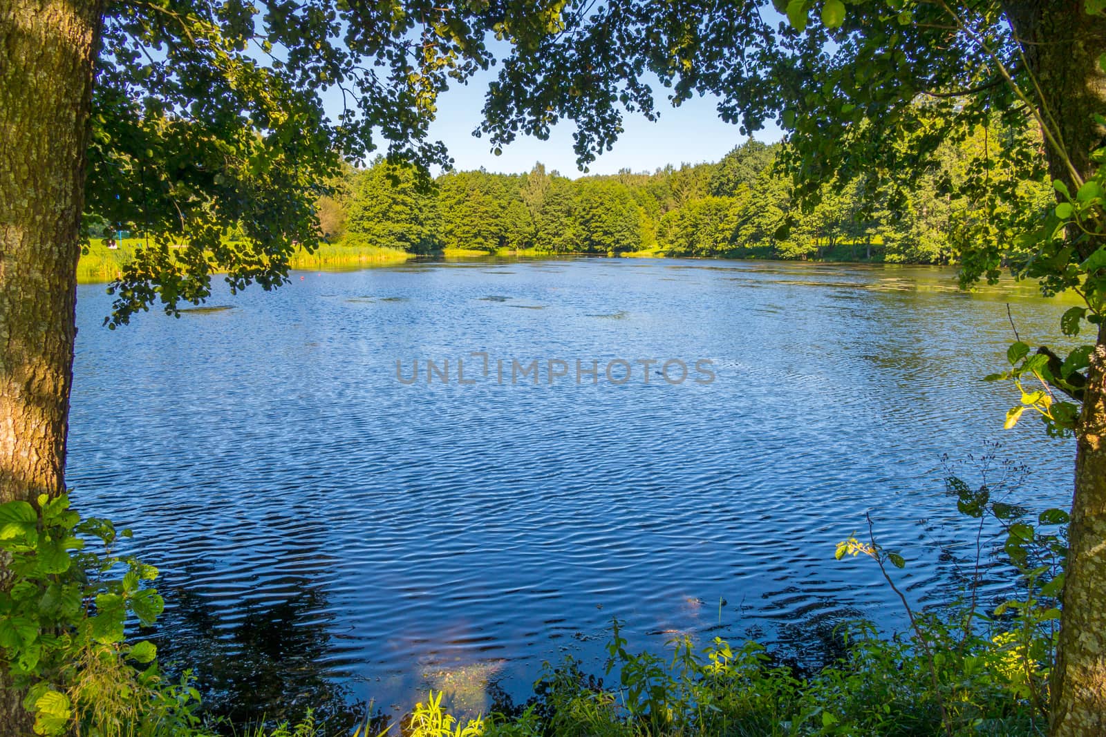 The blue lake is among the green trees reflecting the sky