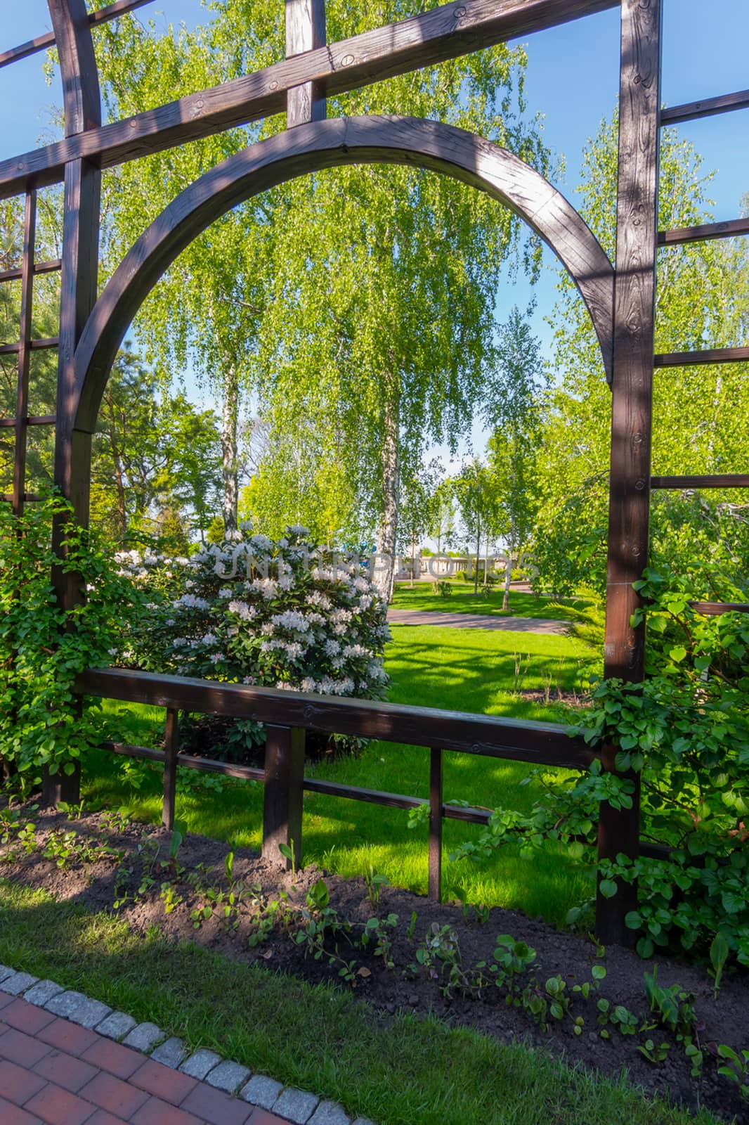 a tall wooden arch with rose bushes against the background of a flowering bush