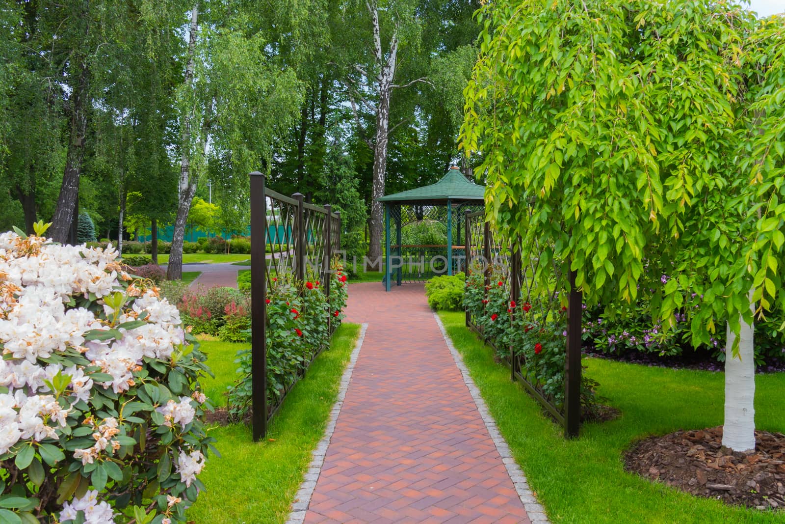 The park alley along the fence with red roses leading to a decorative gazebo with a green roof
