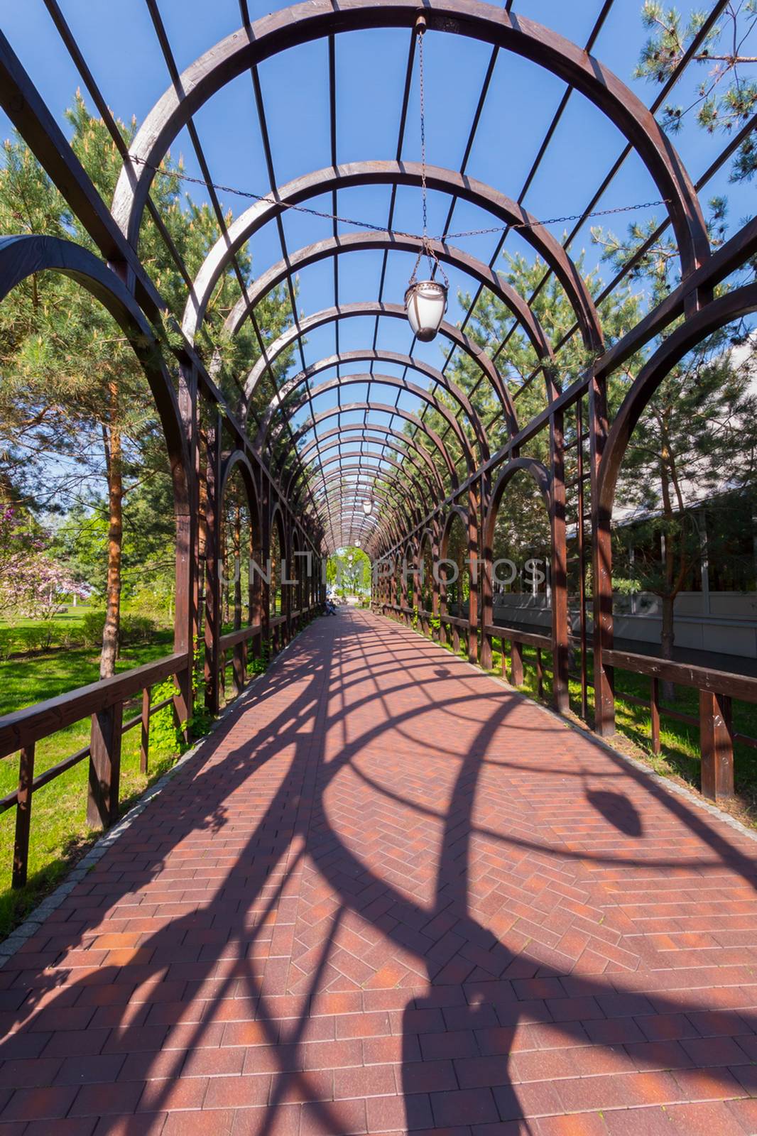 The alley in the park with a trellised covering on which the lanterns hang and the blue sky is seen through it