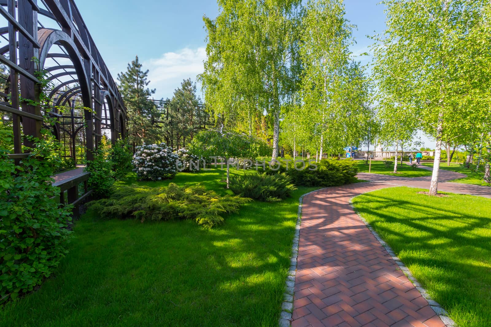 Beautiful scenery in the park on a clear sunny afternoon with a variety of green spaces in the form of birches of lawns and flowers.