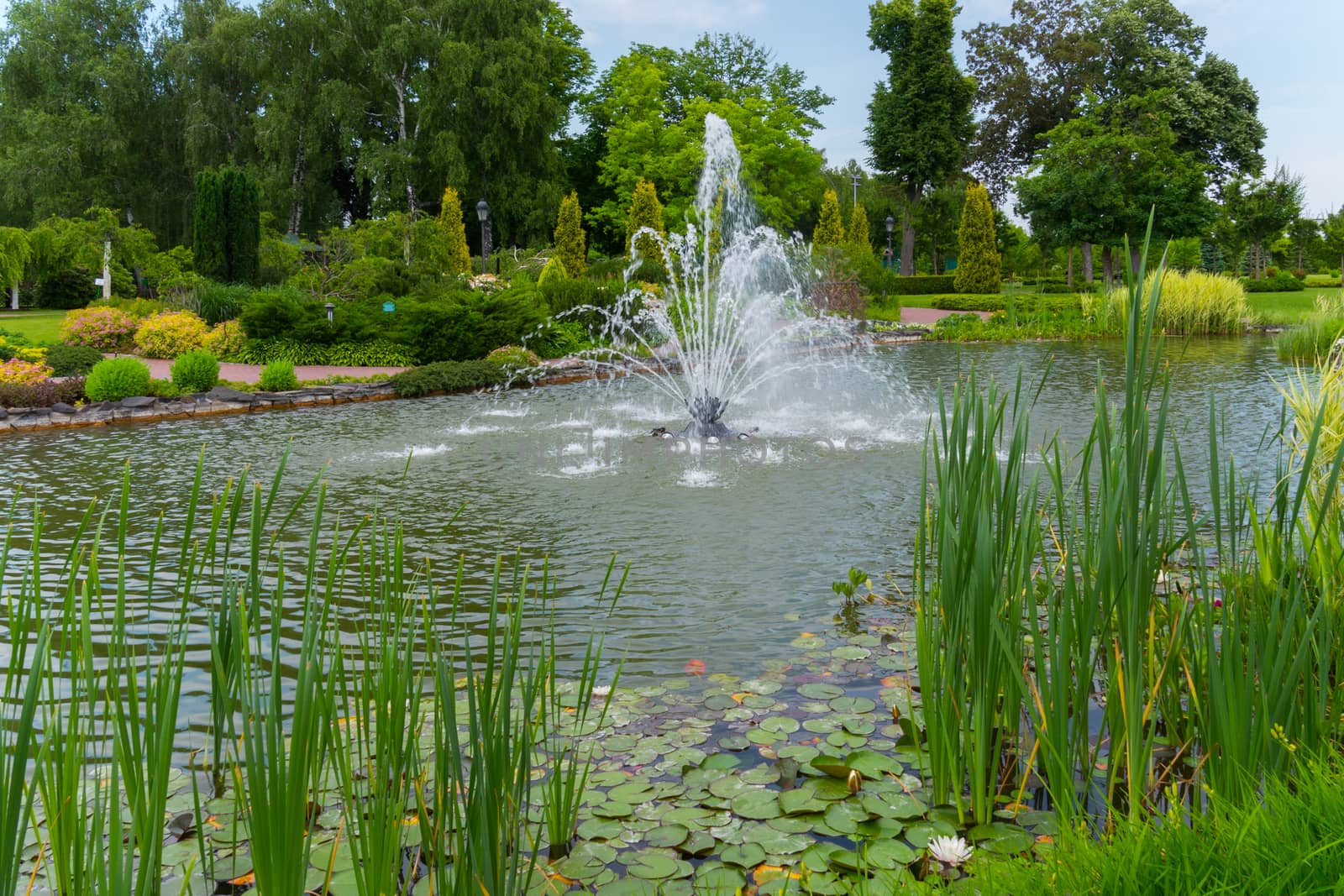 A picturesque landscape of a pond with a transparent fountain in the middle with water-lilies and reeds growing at the shore.