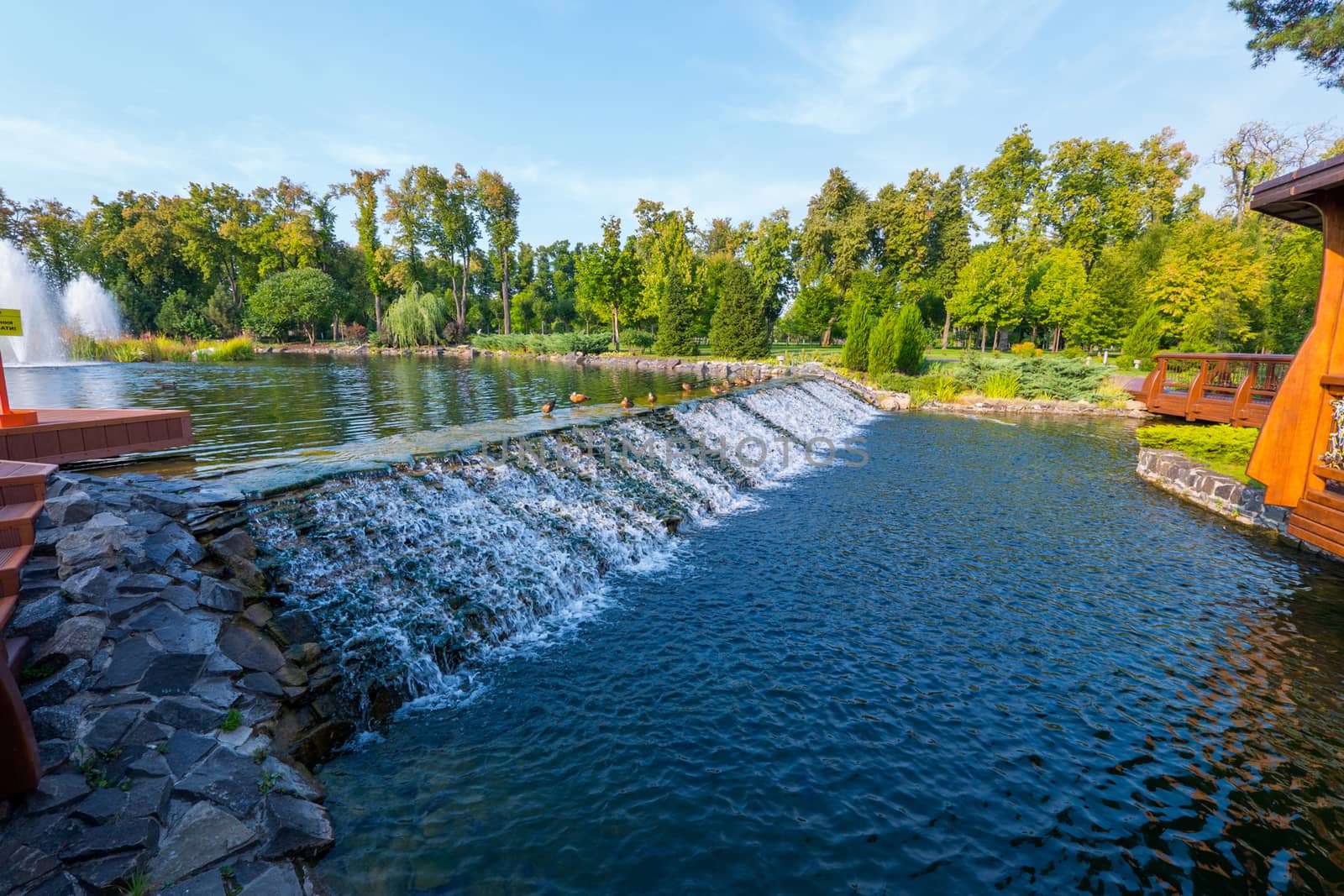 a stormy stream of water of a waterfall on the hill that houses wild ducks. mezhigriya Ukraine