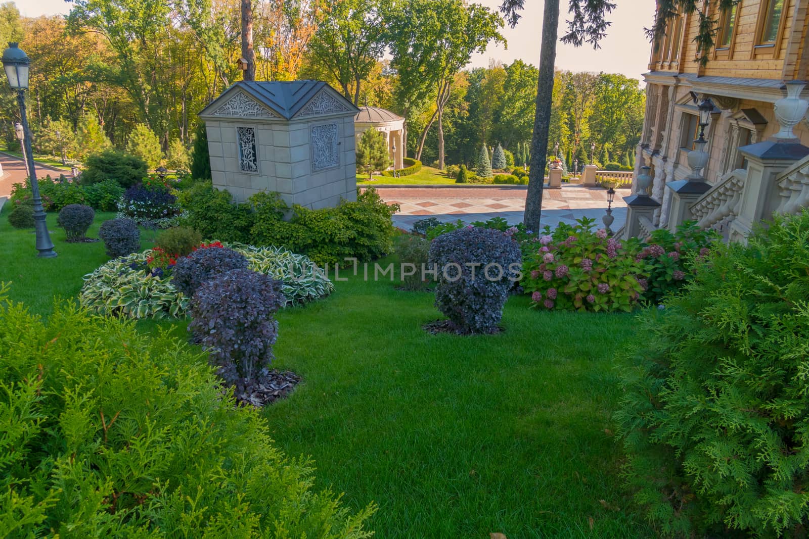 magnificent decorative bushes on the green slope growing next to the house with a staircase with a graceful design