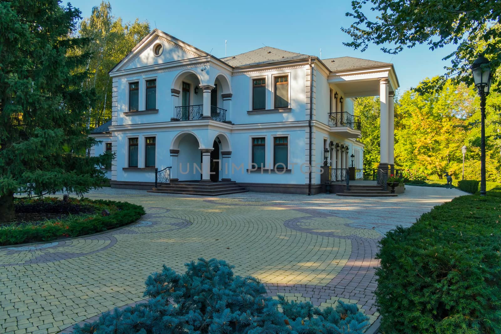 beautiful country house with fir-trees in the foreground by Adamchuk