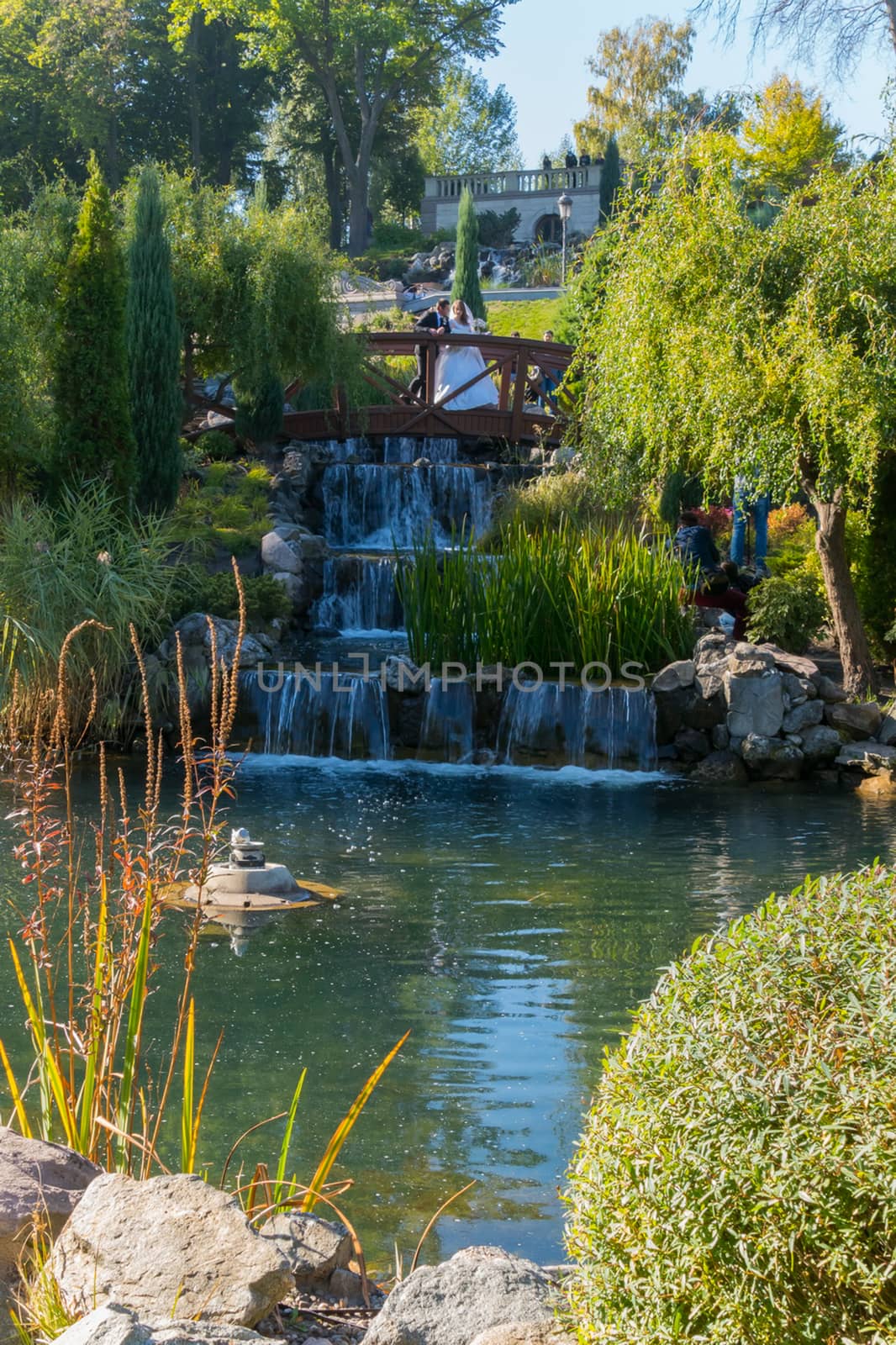 Newlyweds on a wooden bridge on the background of a decorative waterfall and a green park zone