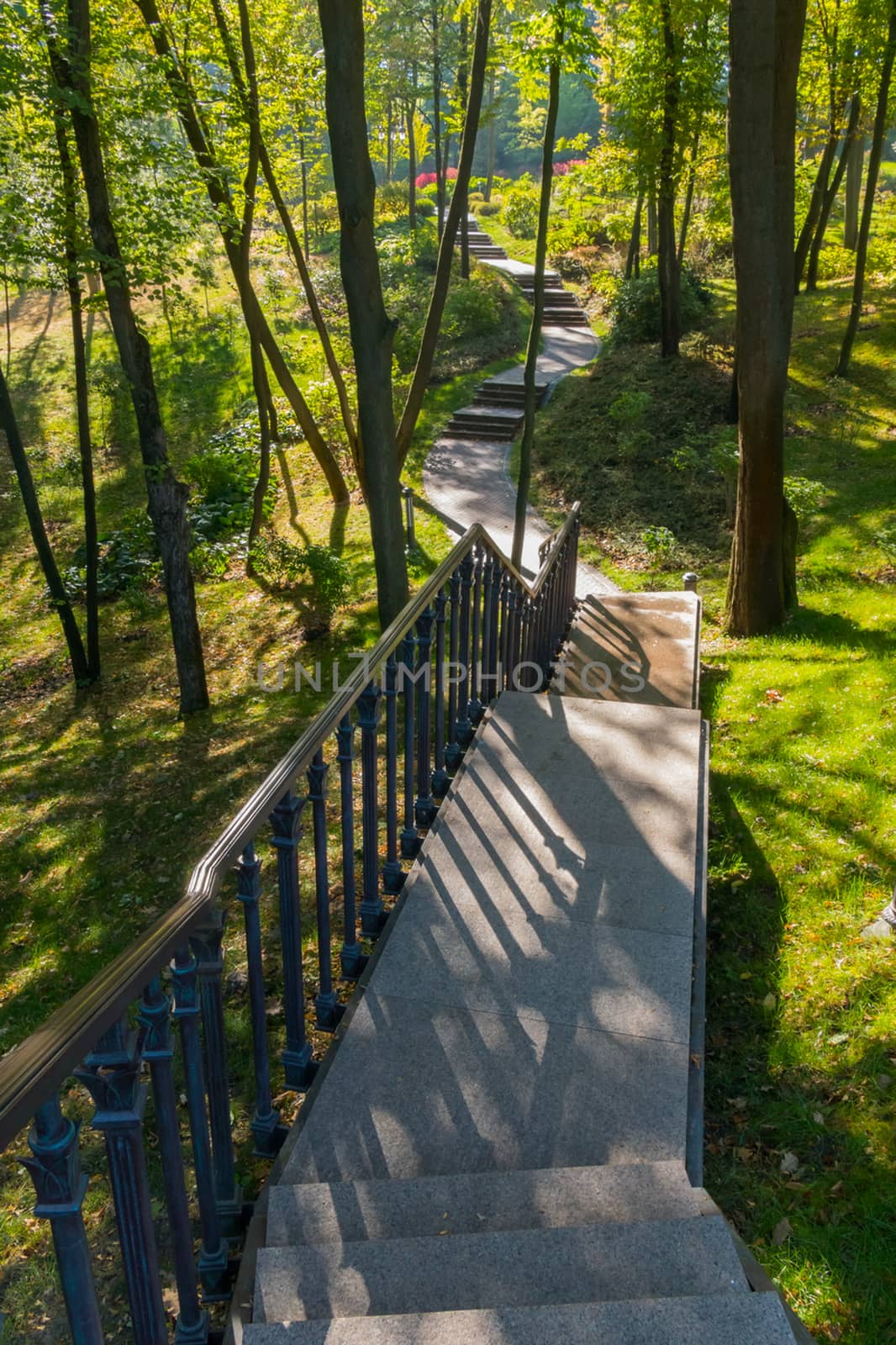 Alley with stairs and railing between trees in a green park