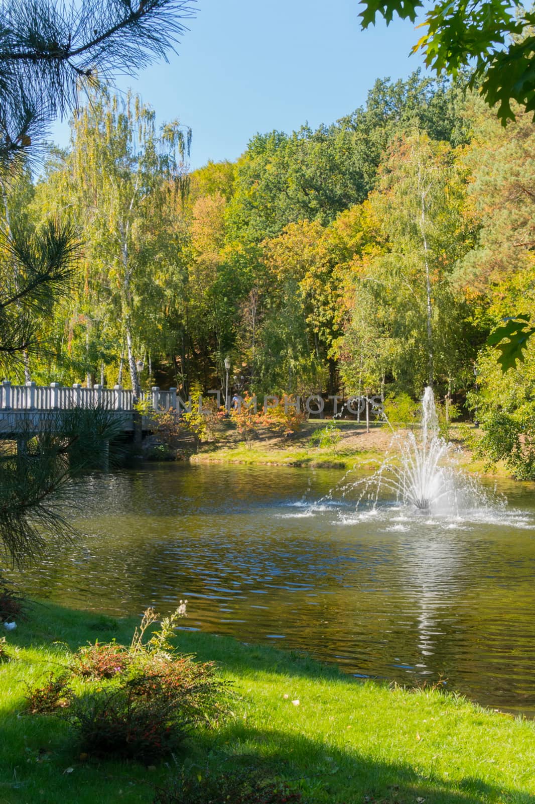 The green glade on the shore of the pond is a great place to relax with a beautiful view of the fountain in the middle of the pond and trees with yellowing foliage on the opposite shore.