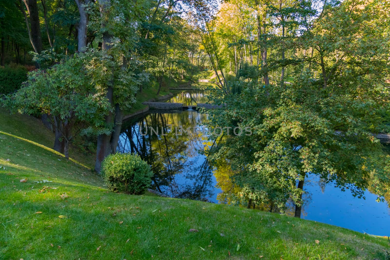 The river in the green ravine of the city park reflects the crow by Adamchuk