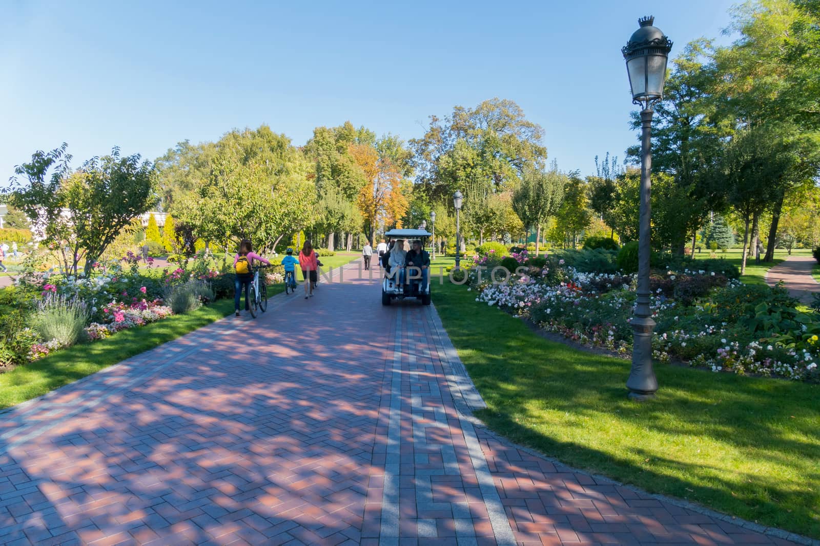 A bright sunny day with walking people in the park along a wide avenue. Walking among the picturesque green lawn with growing on it a lot of beautiful flowers and lush trees.